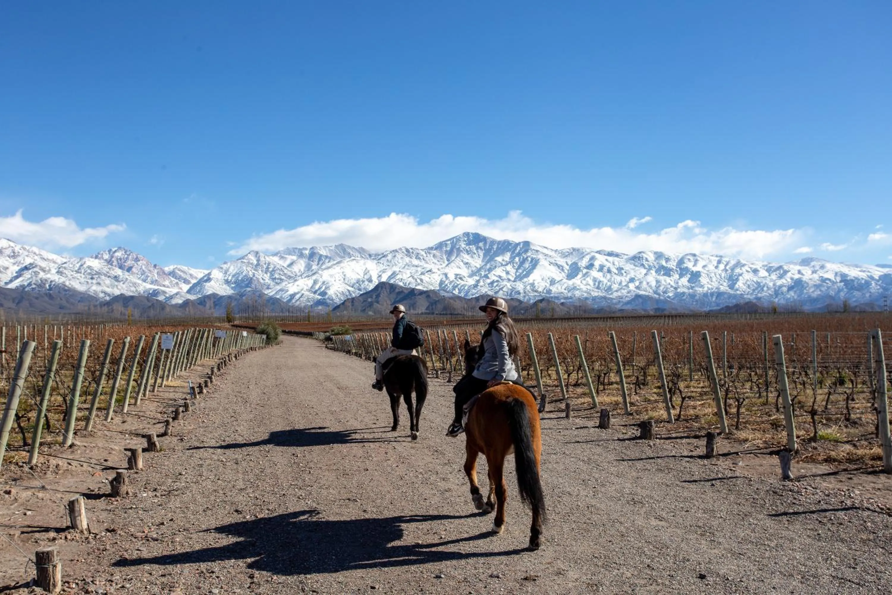 People in Casa de Uco Vineyards and Wine Resort