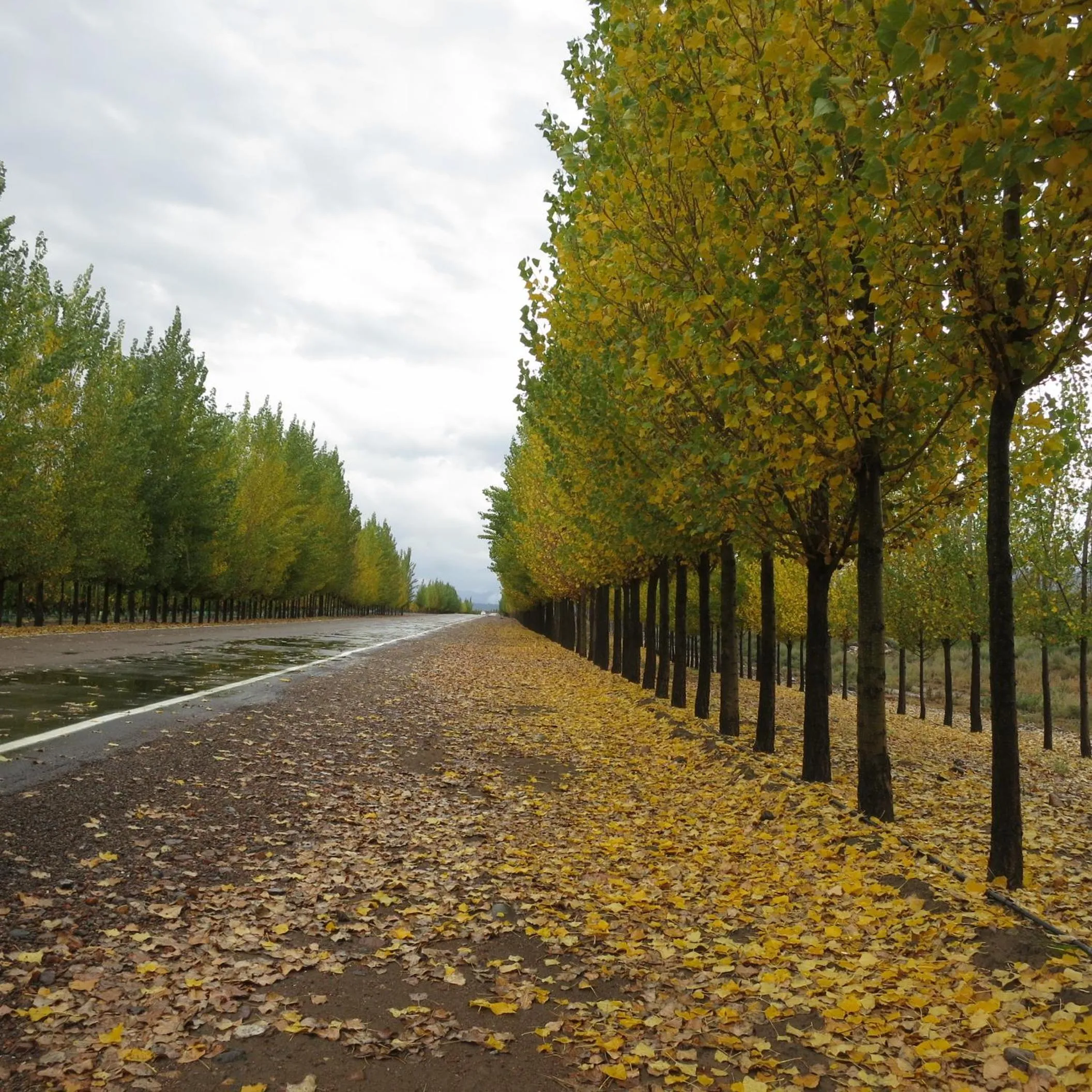 Facade/entrance in Casa de Uco Vineyards and Wine Resort