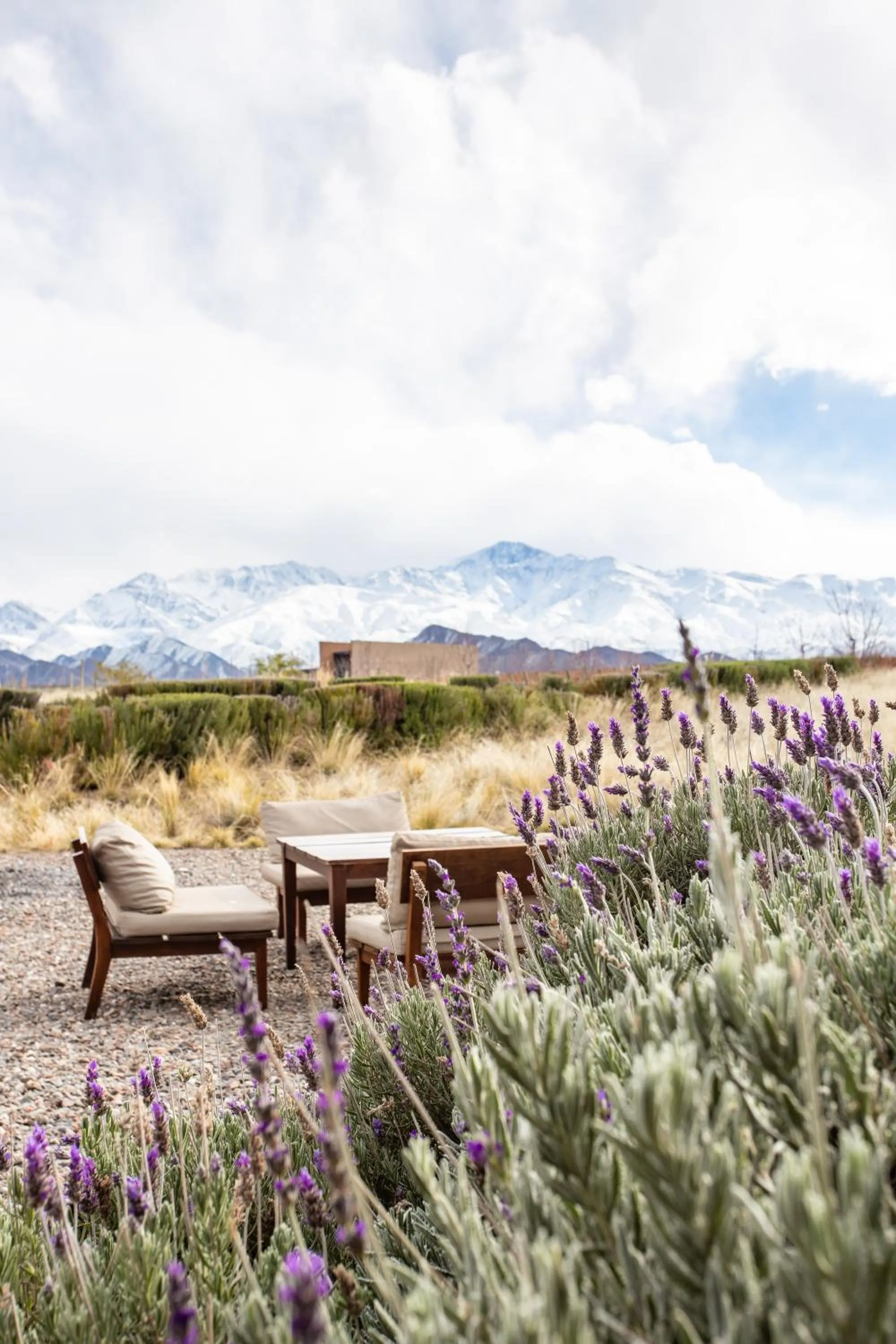 Mountain view in Casa de Uco Vineyards and Wine Resort