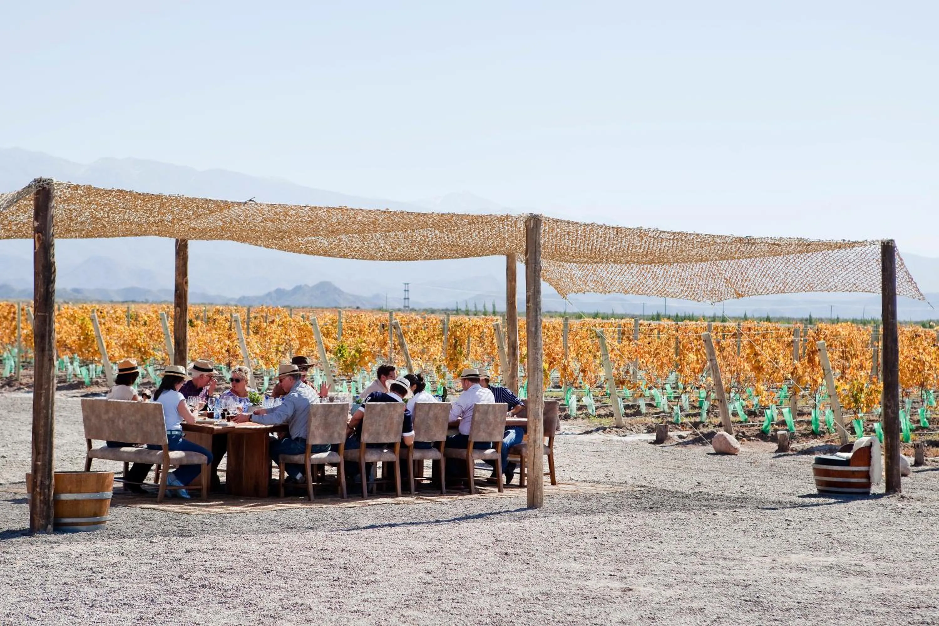 Day in Casa de Uco Vineyards and Wine Resort