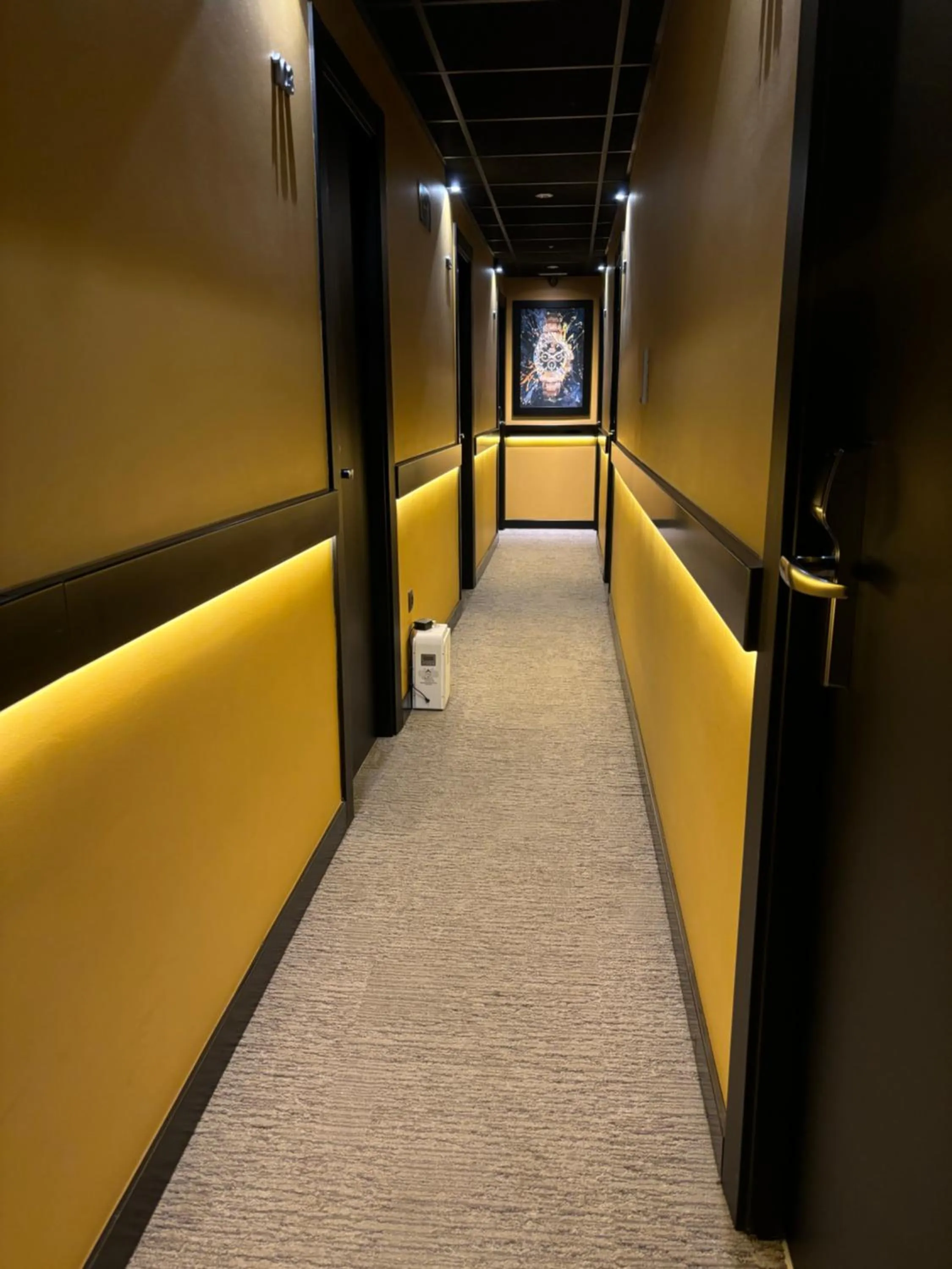 Area and facilities in DAOS Suites & Terrace Marbella