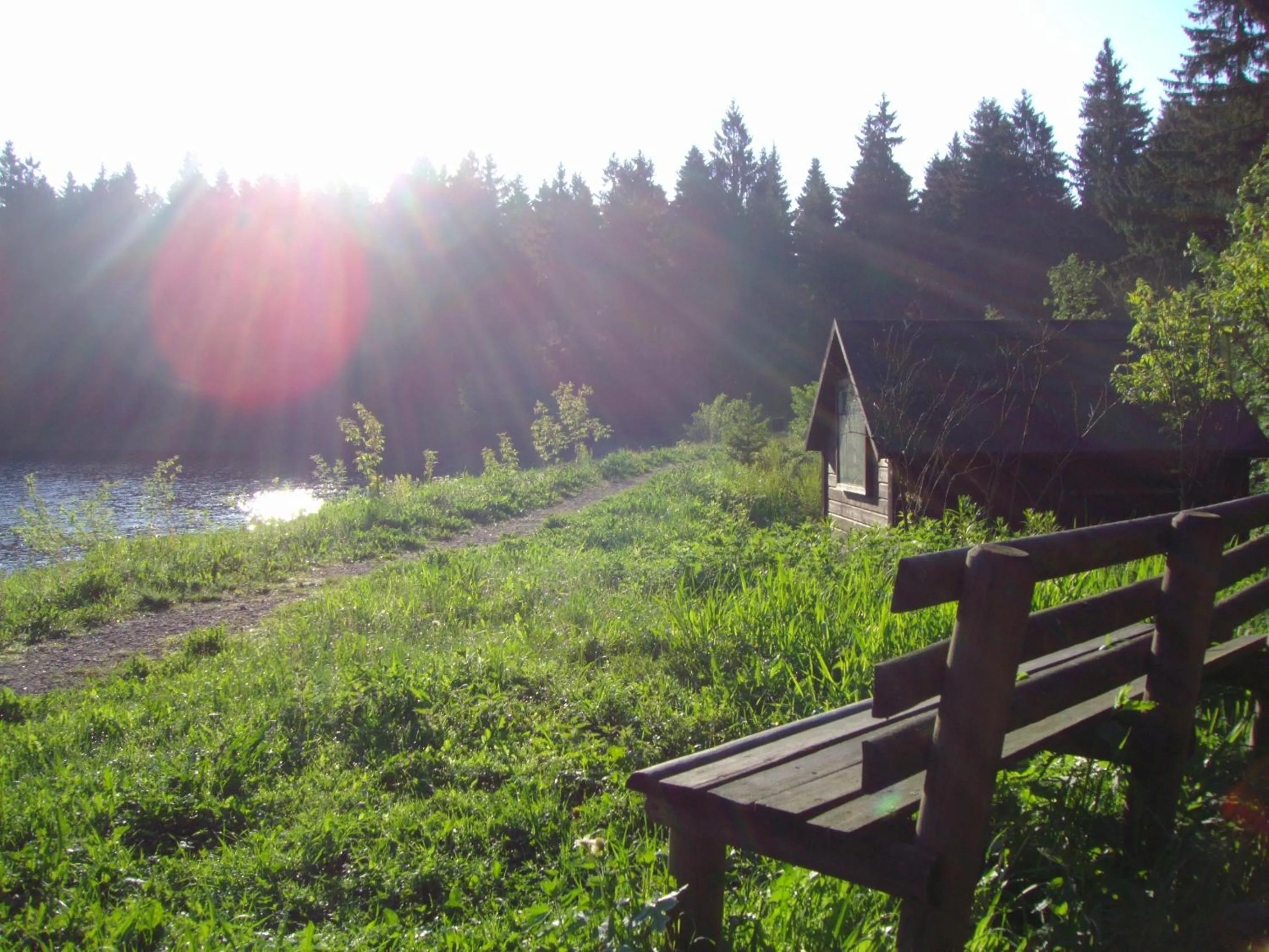 Natural landscape in Flambacher Mühle