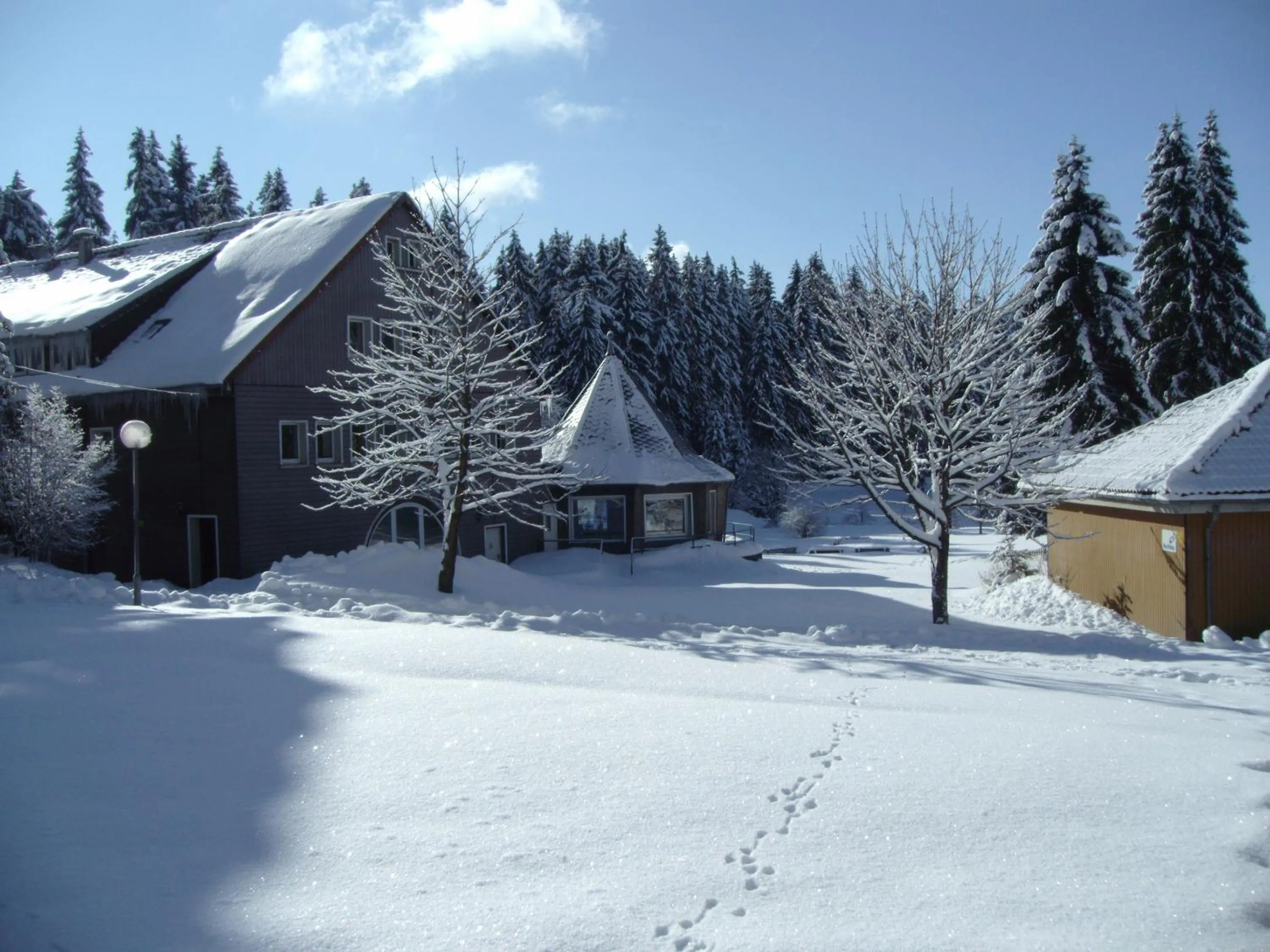 Garden view in Flambacher Mühle