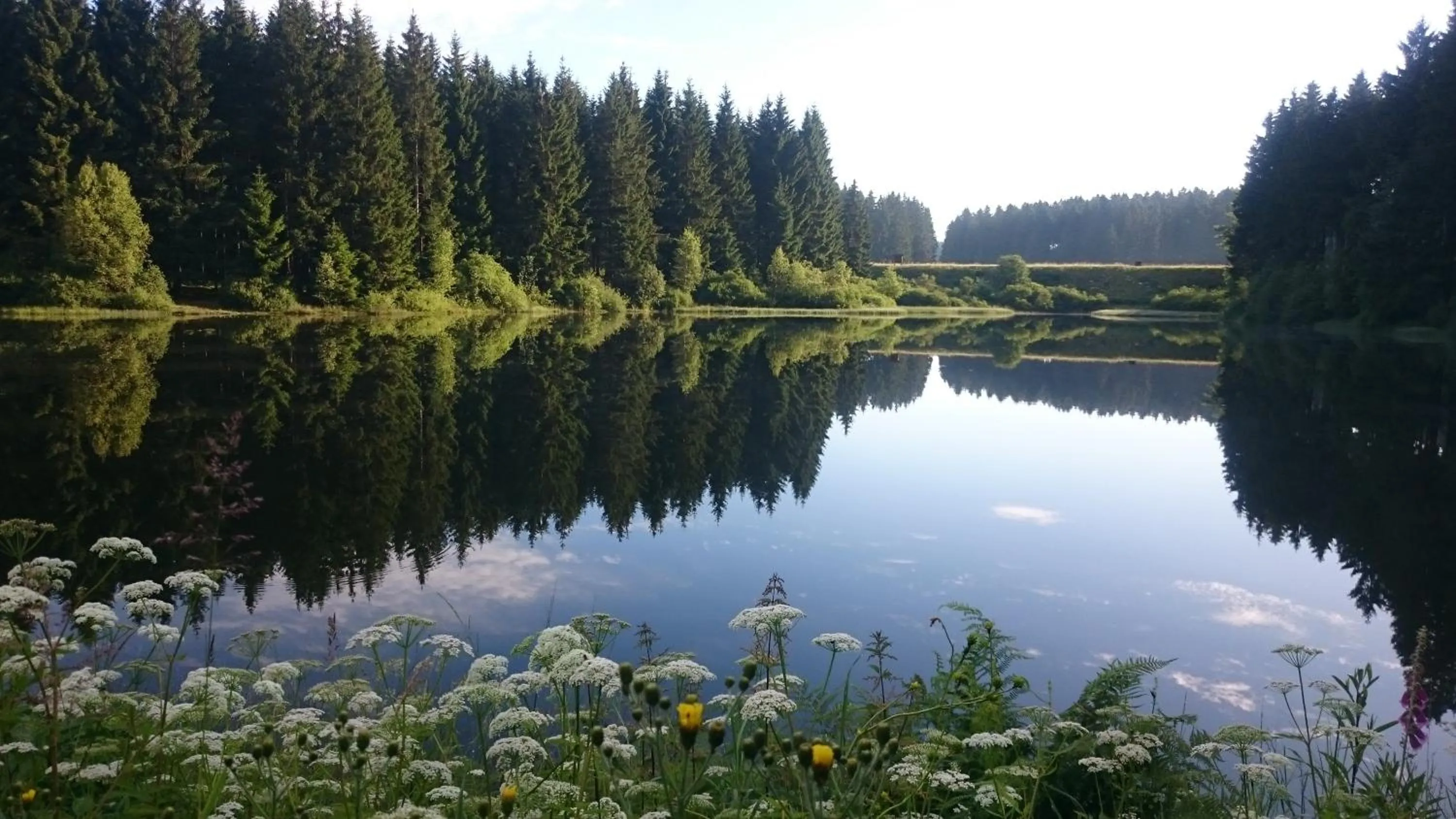 Natural landscape in Flambacher Mühle