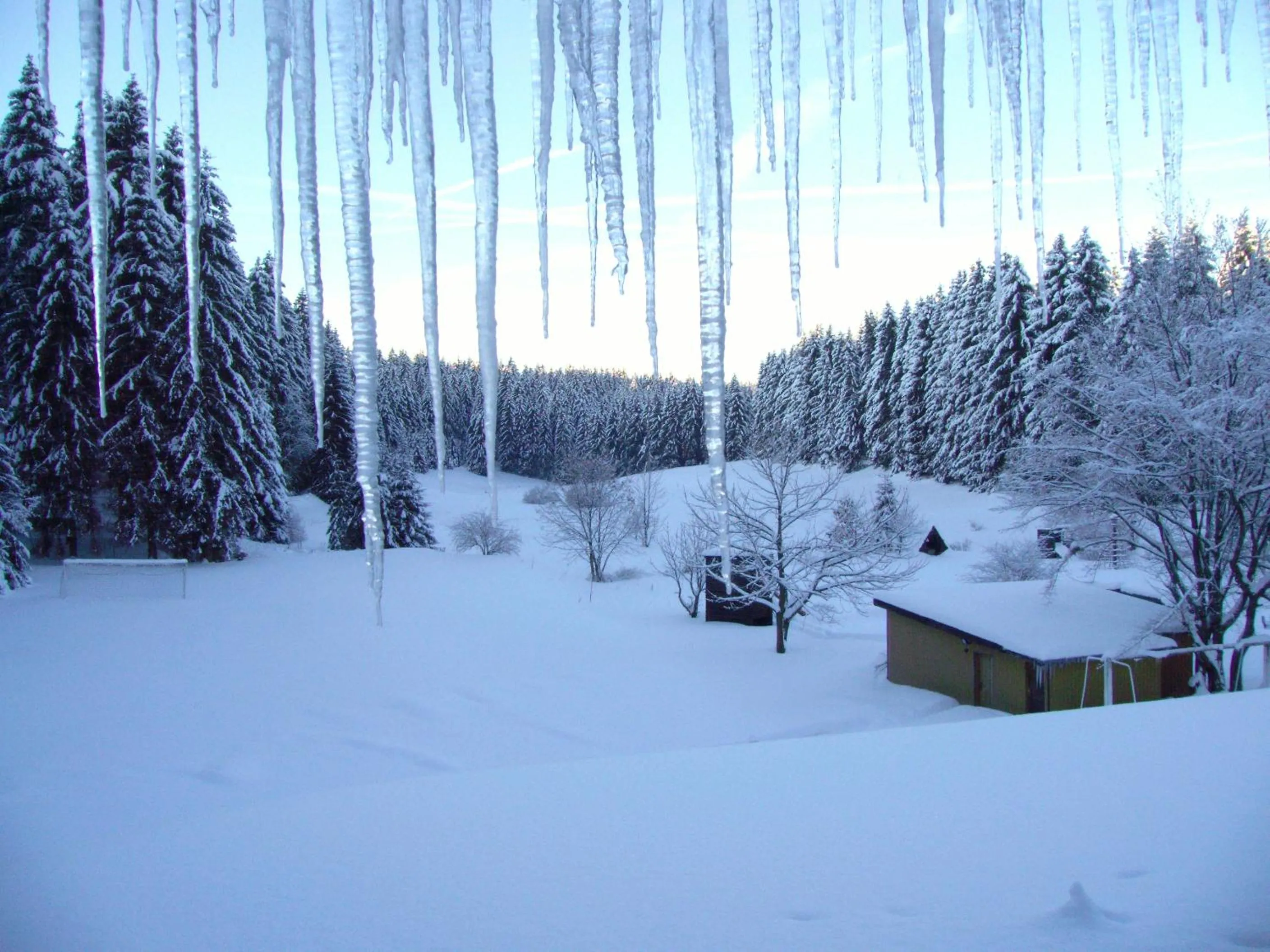 Garden view in Flambacher Mühle