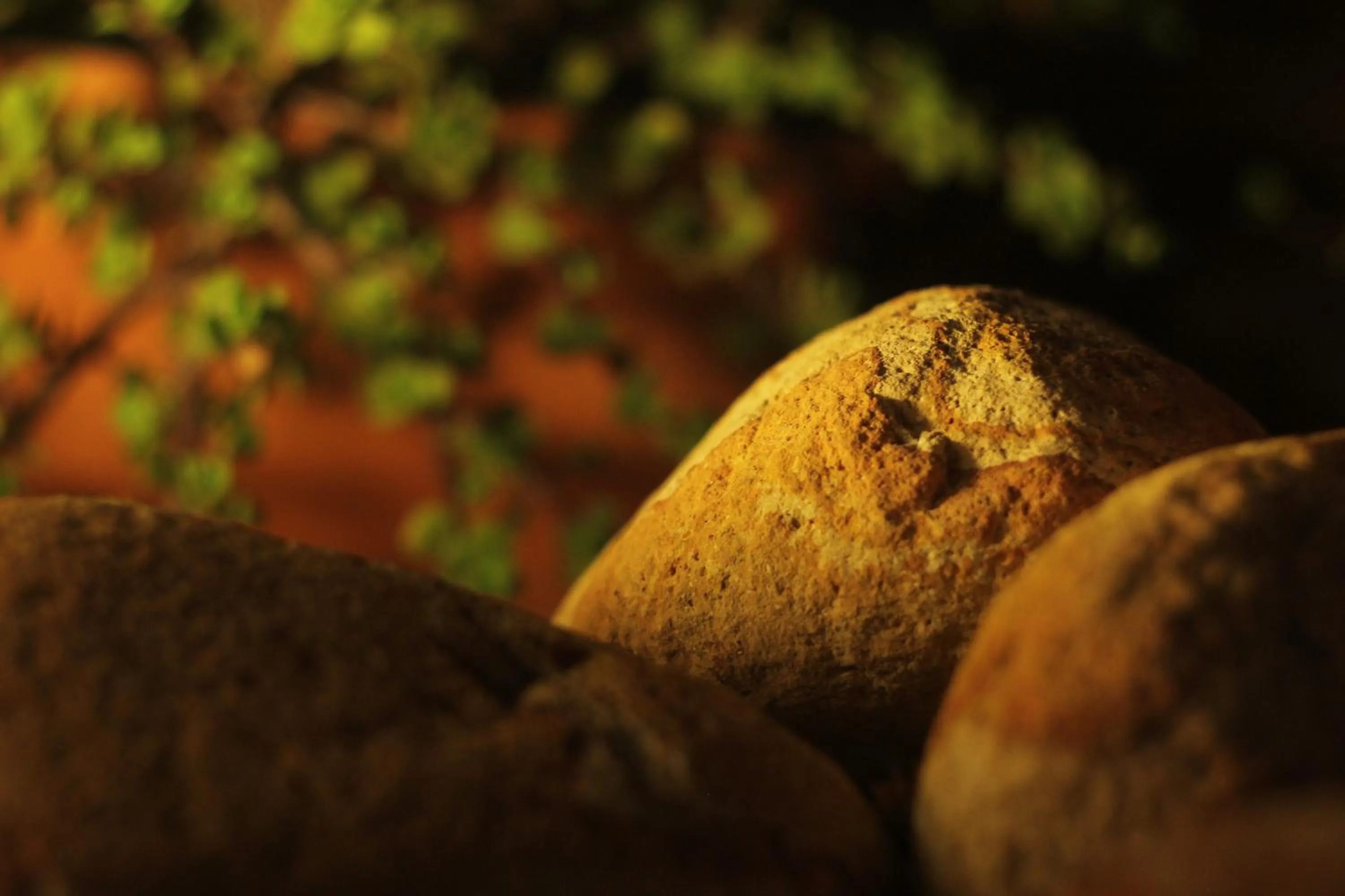 Other in PLEIADES lUXURY APARTMENTS