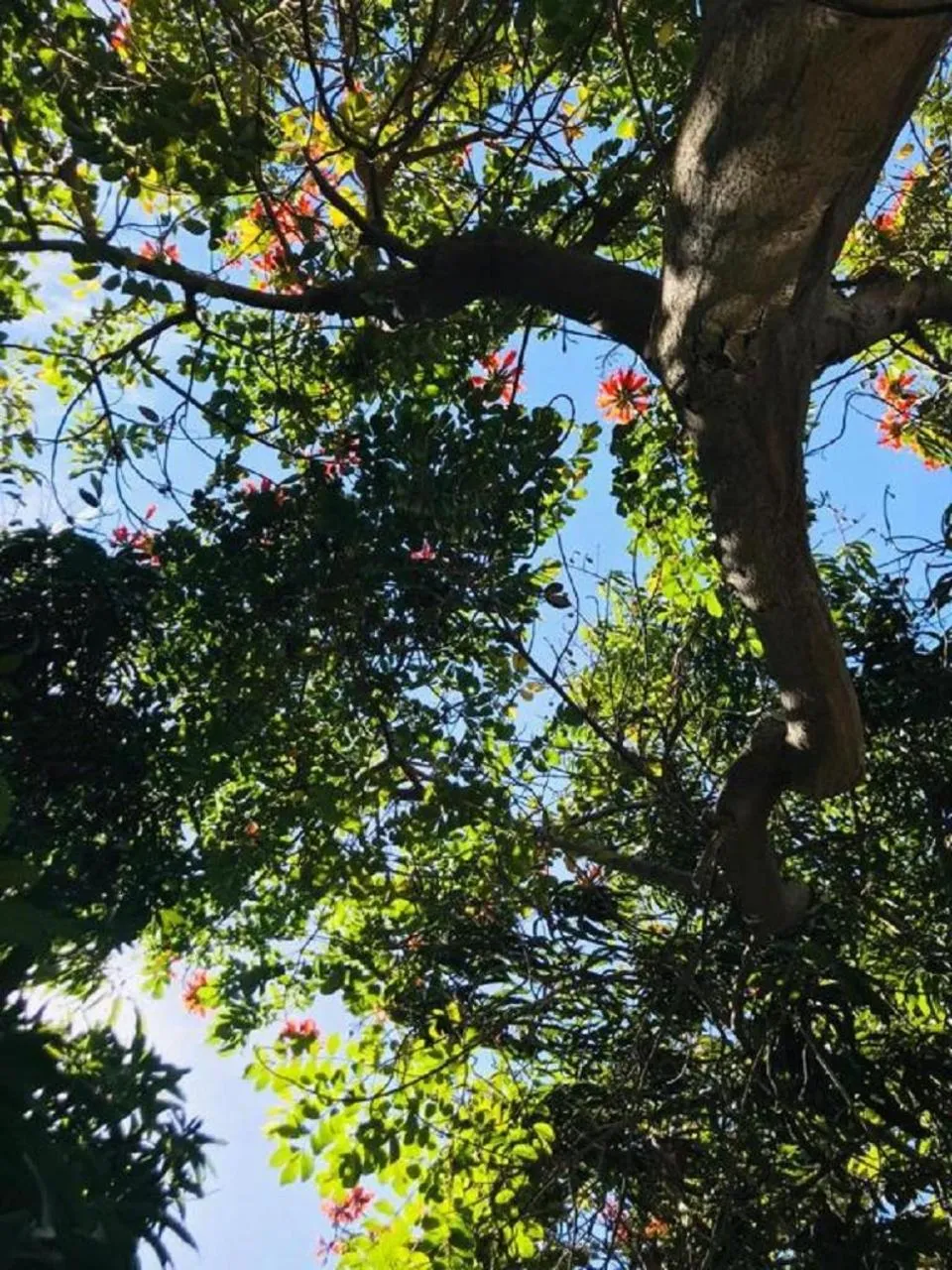 View (from property/room) in Hotel Posada Señor Mañana