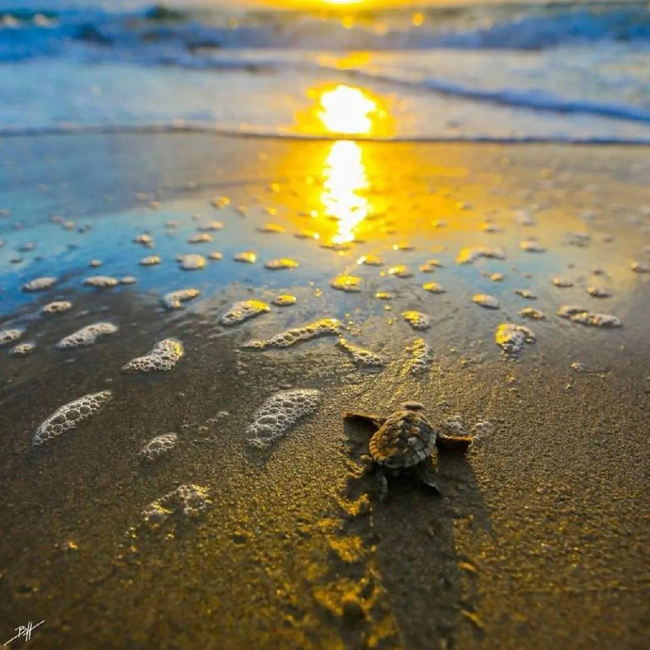 Natural landscape in Hotel Posada Señor Mañana