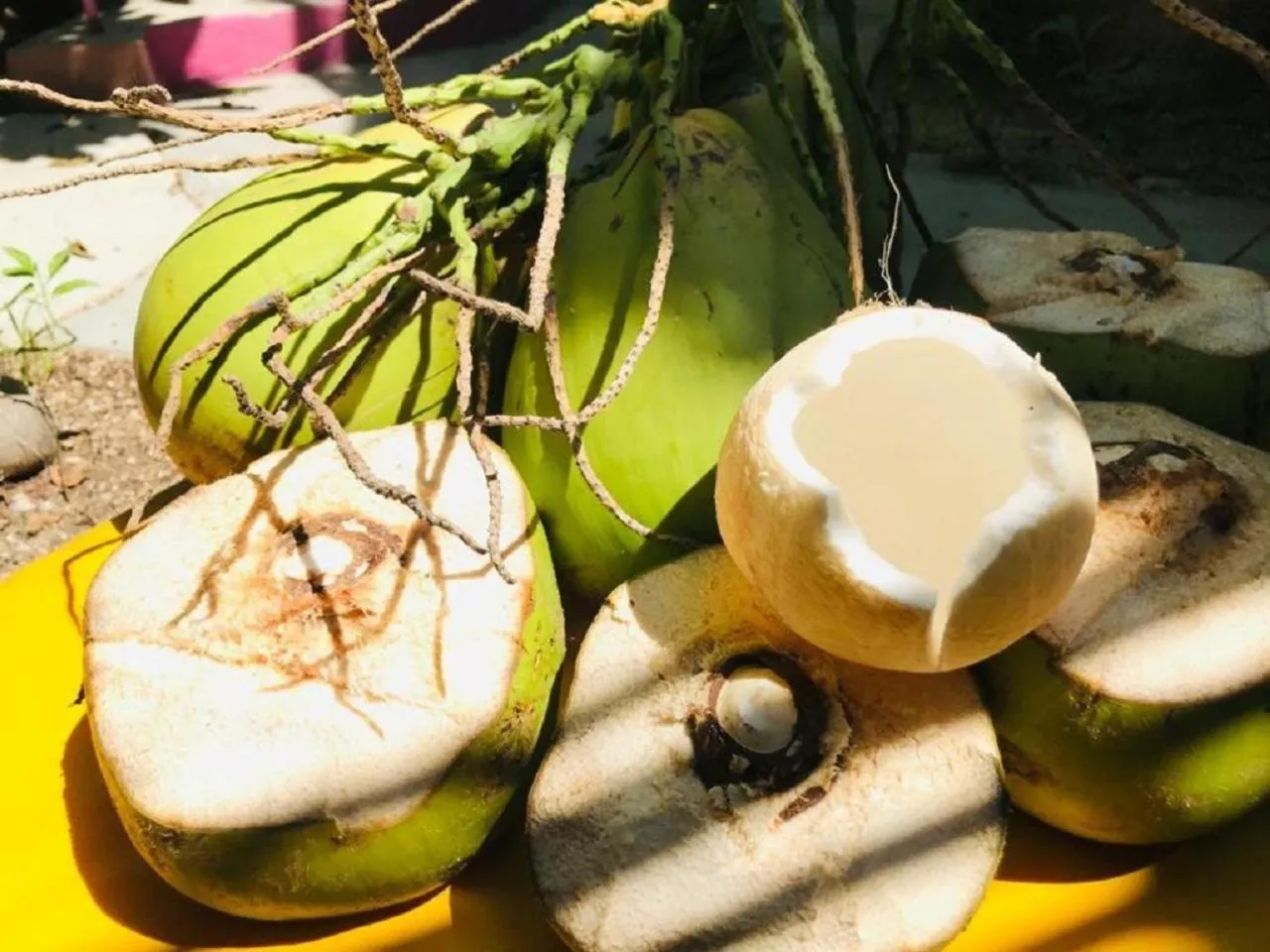 Food in Hotel Posada Señor Mañana