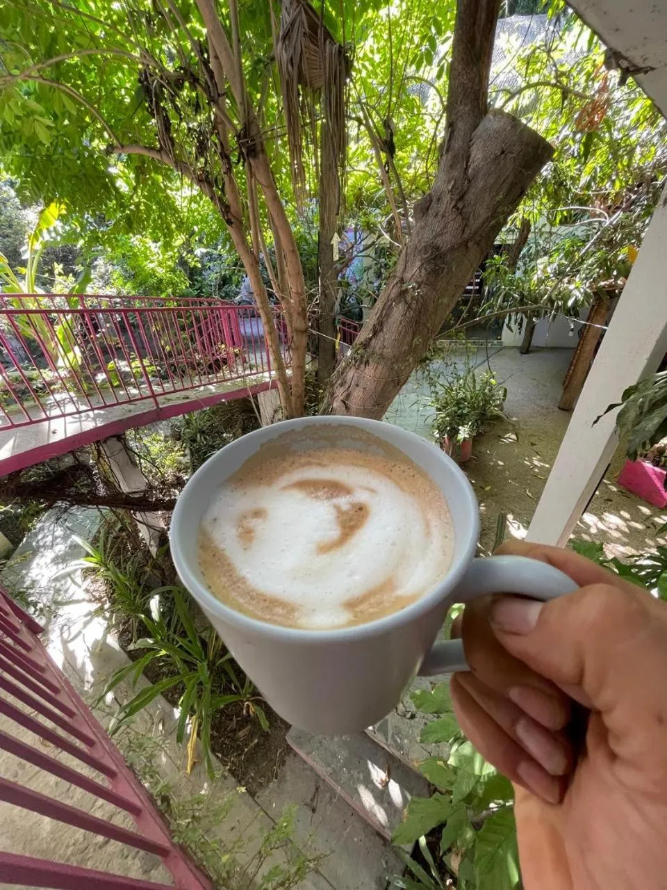 Garden in Hotel Posada Señor Mañana