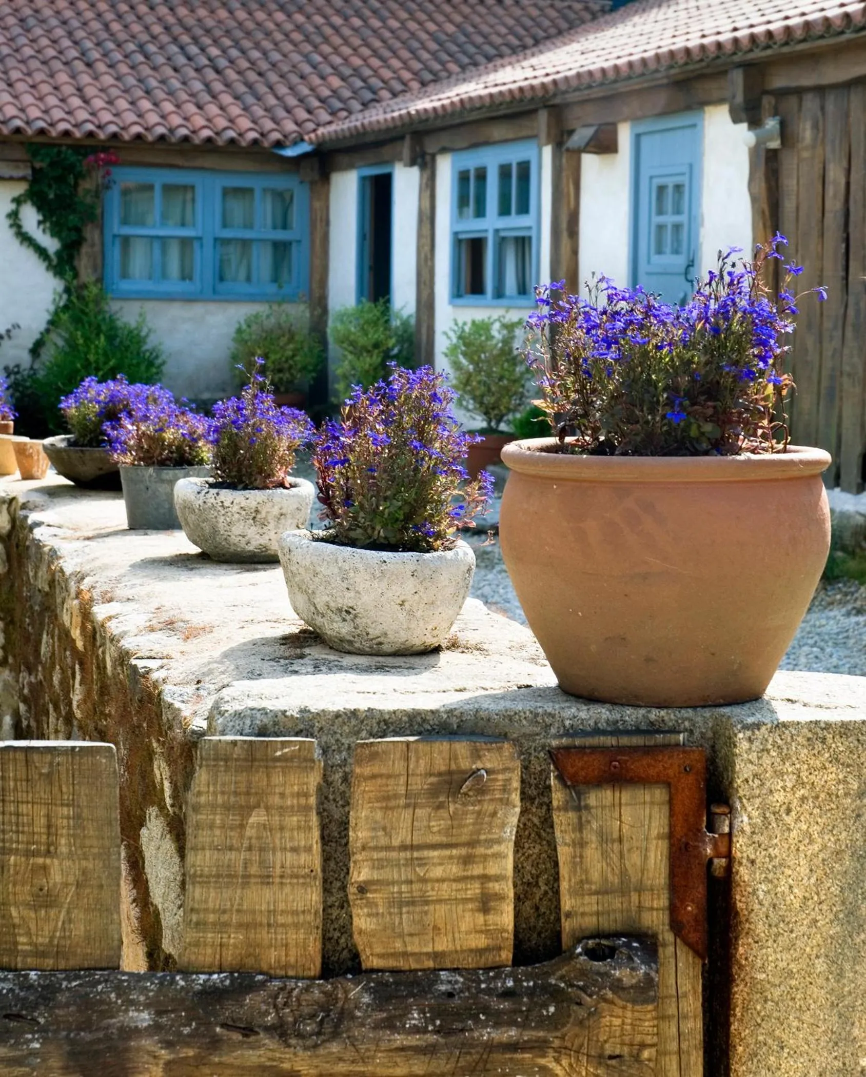 Spring in Casa do Castelo de Andrade