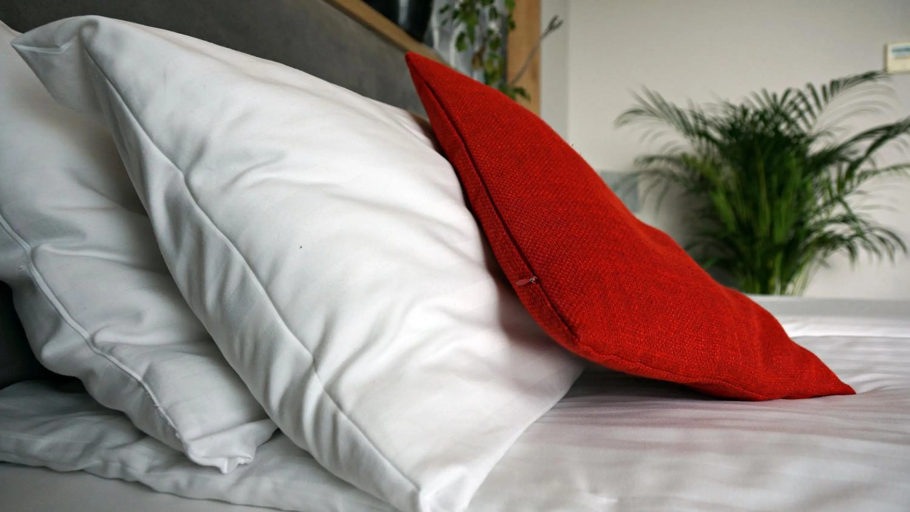 Other, Bed in Hotel Forza