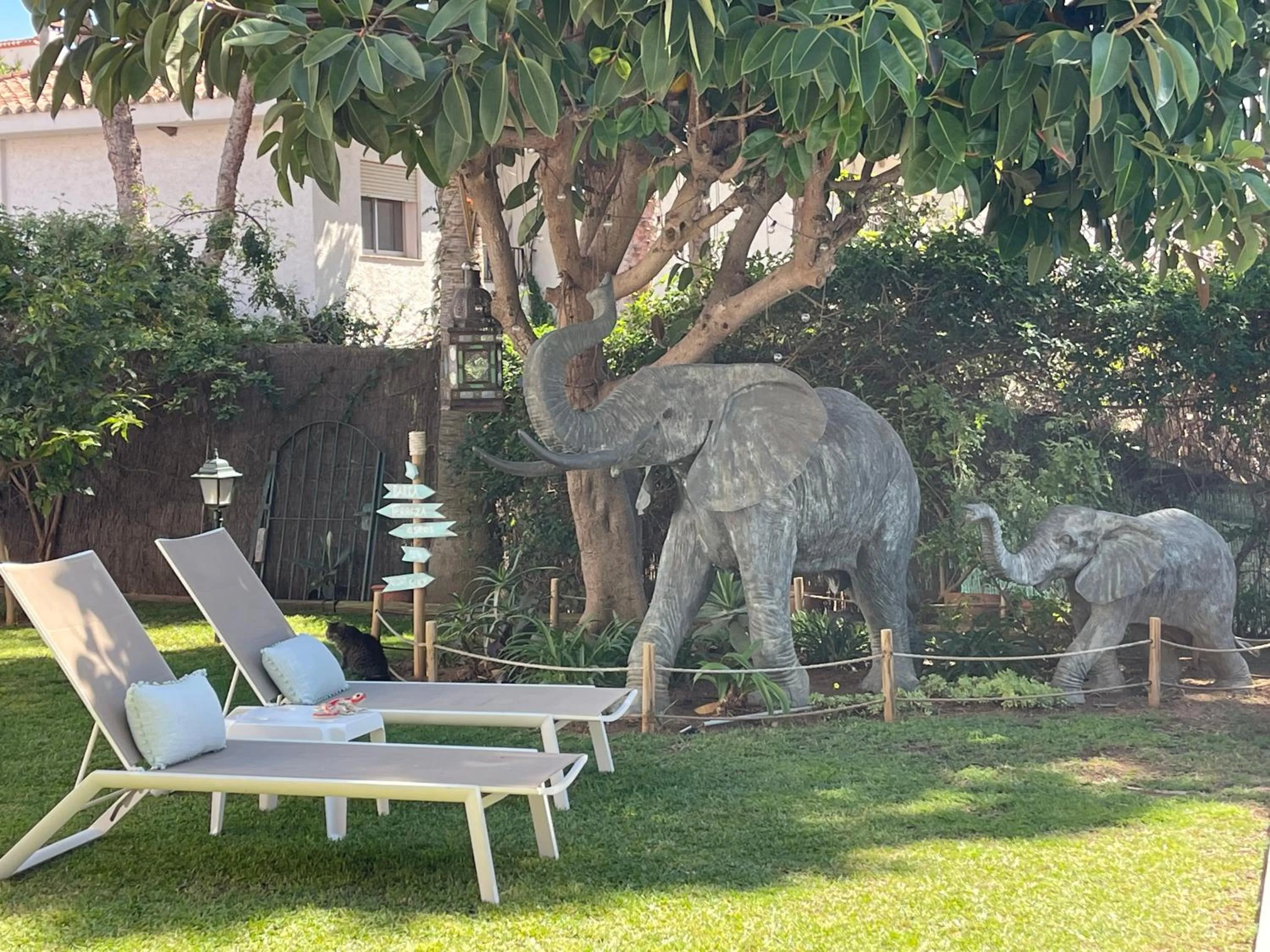 Garden in Casa Flora - Mijas Costa - Andalusië