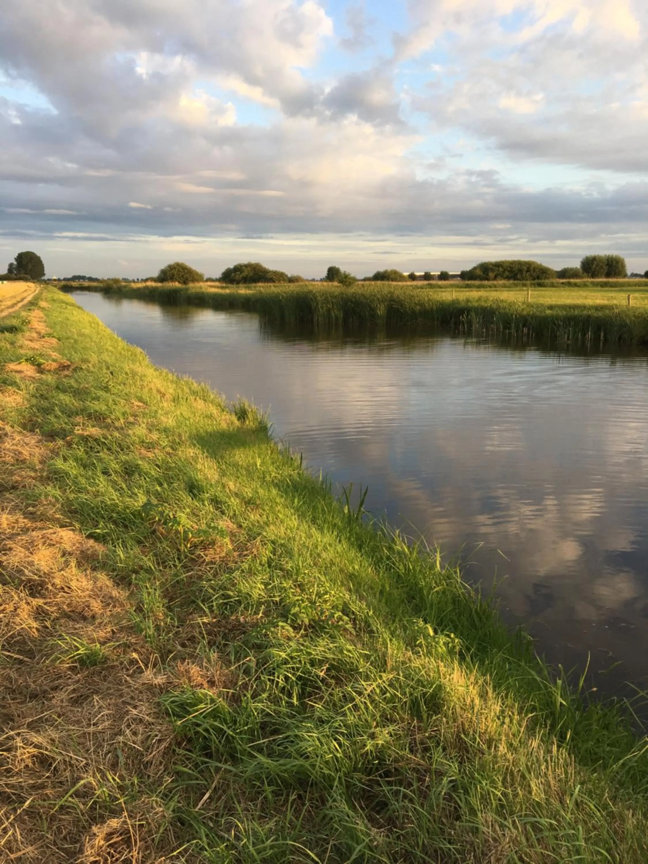 Natural landscape in B&B Zen