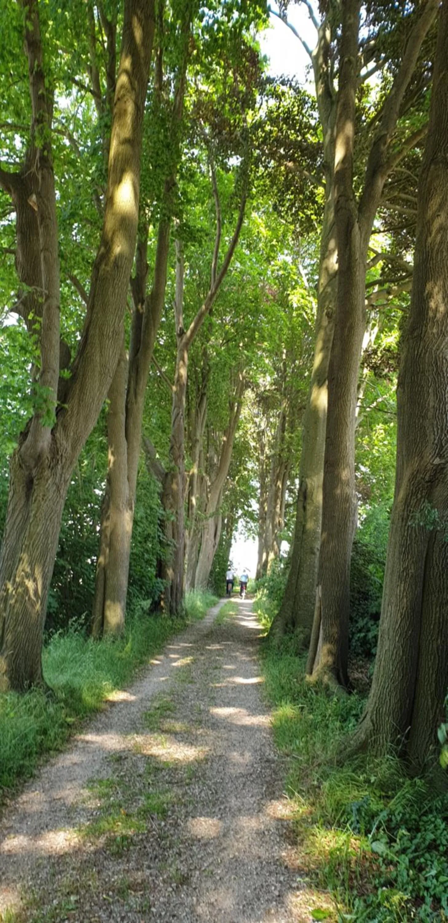 Natural landscape in B&B Zen