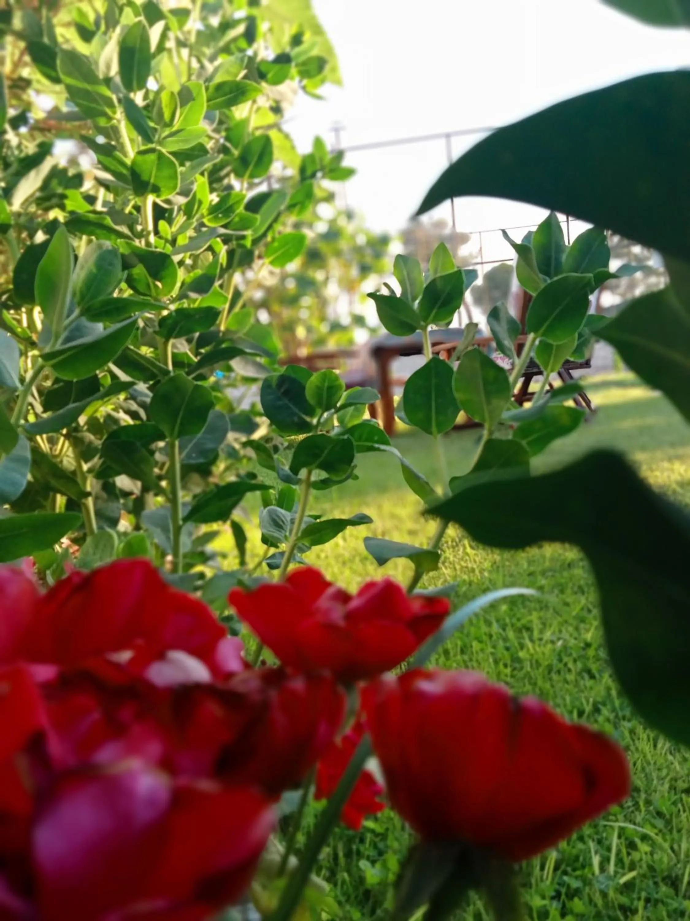 Spring in Paradise House