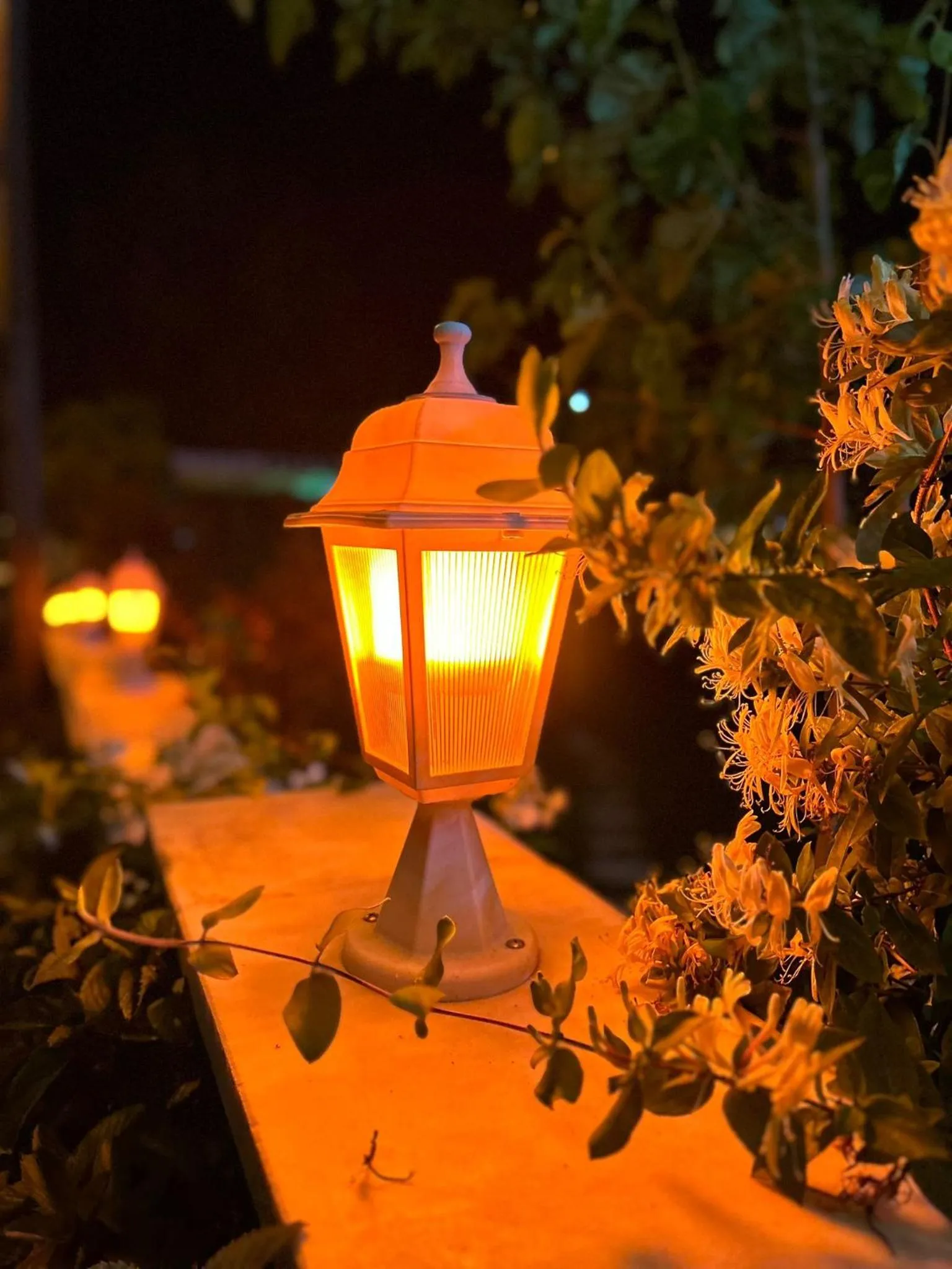 Night in Paradise House