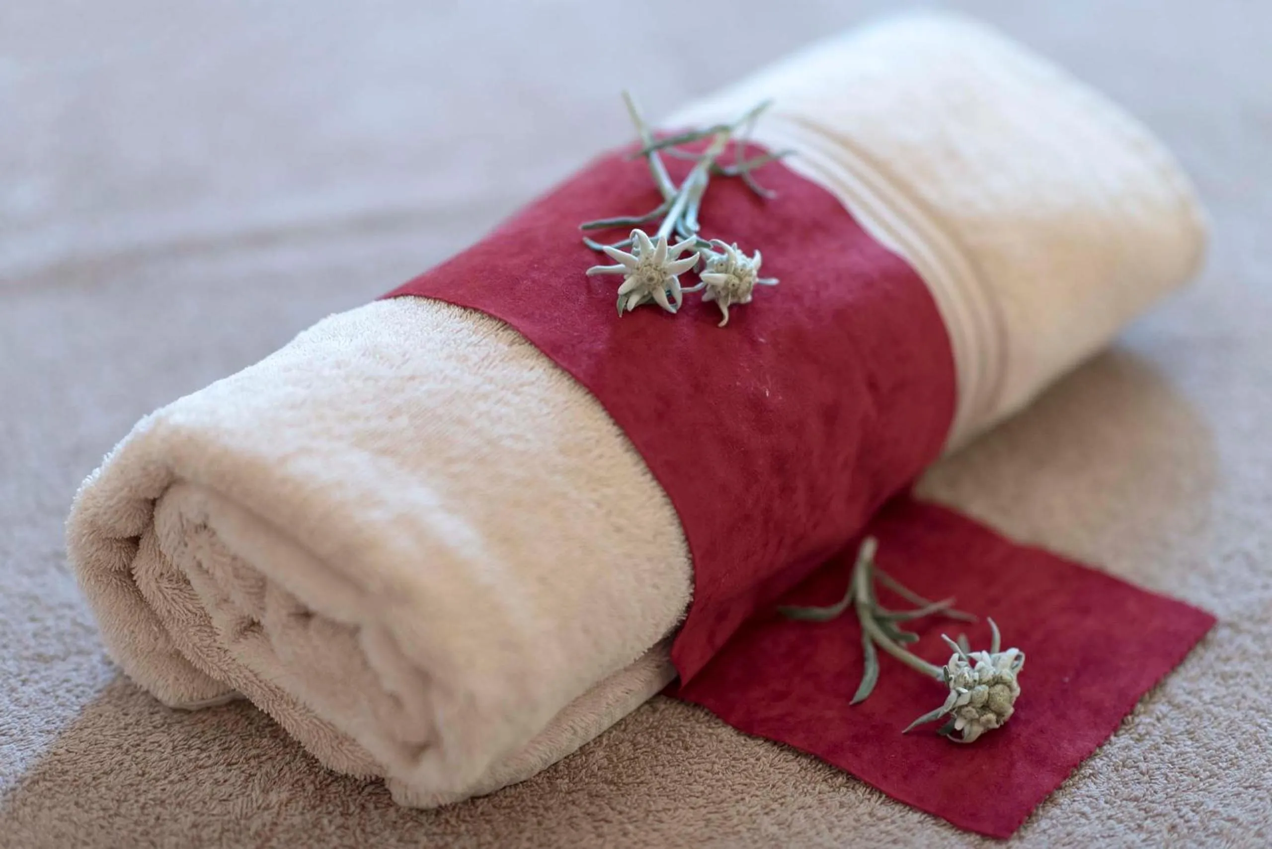 Massage in SALZANO Hotel - Spa - Restaurant