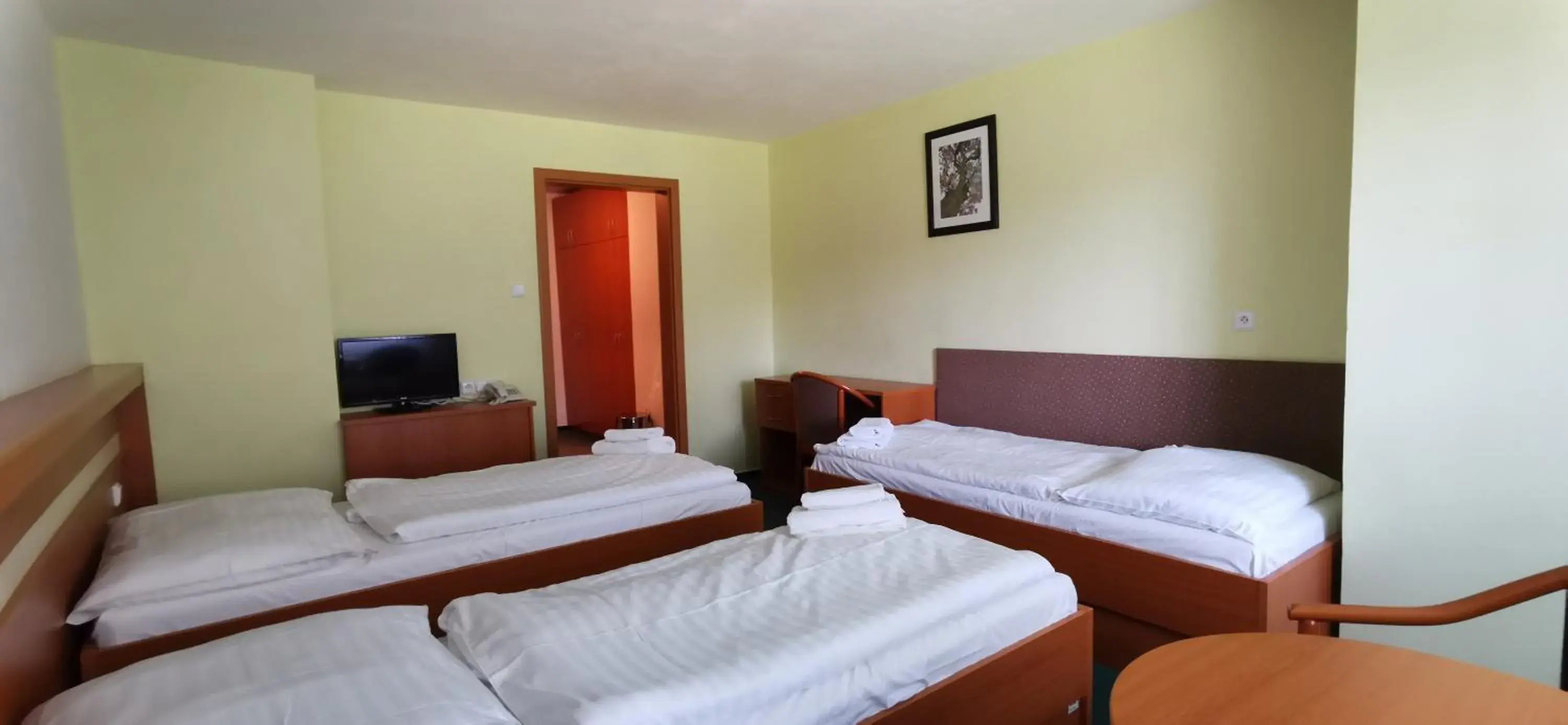 Triple Room in HOTEL SVRATKA Triple Room in HOTEL SVRATKA