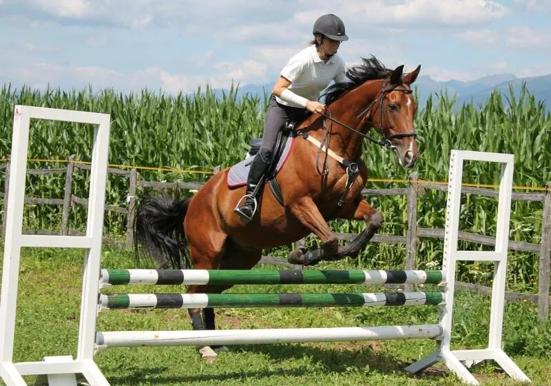Horse-riding in Castel Maurn Dolomites