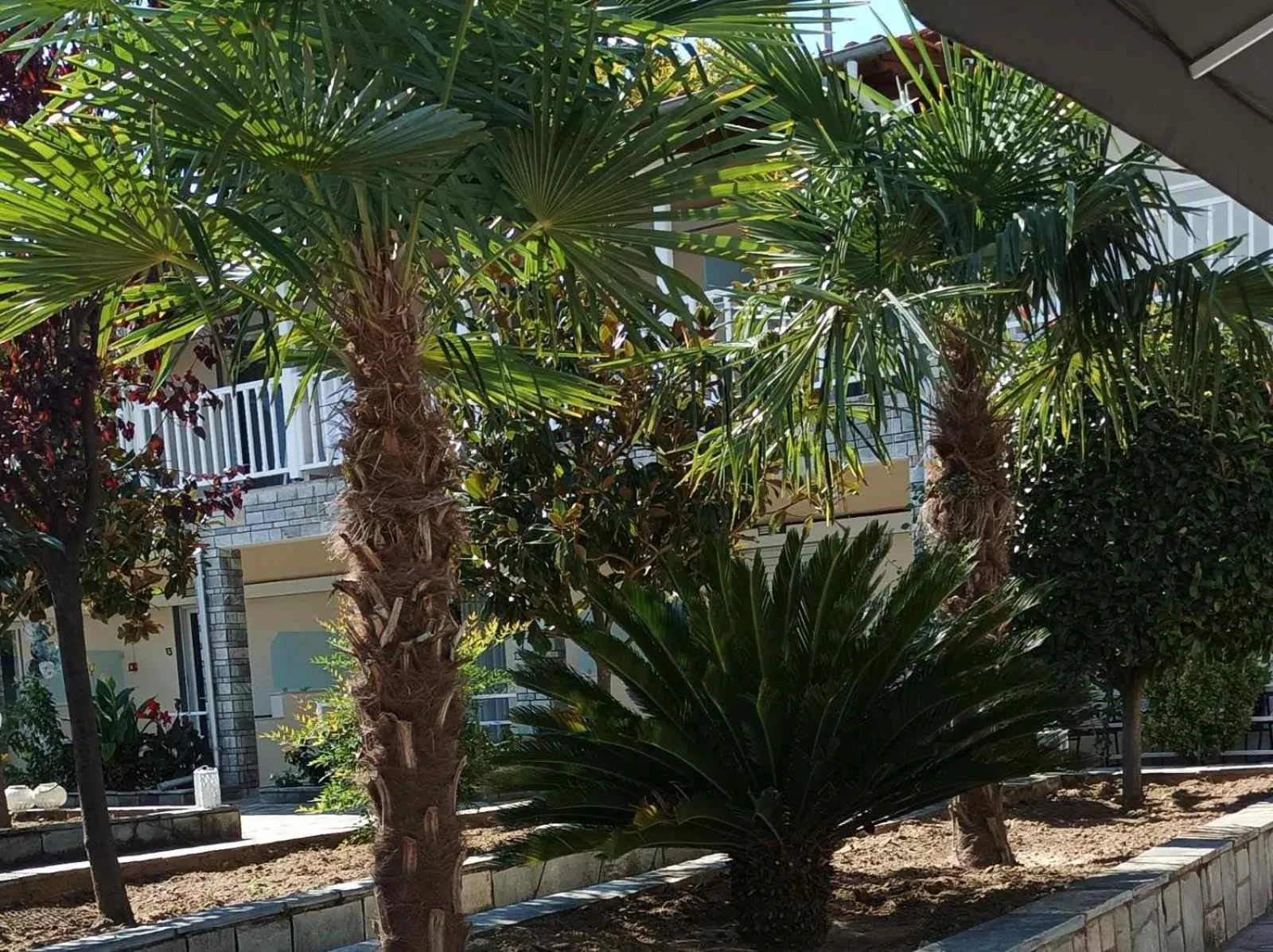 Bella Terra Nature Living
