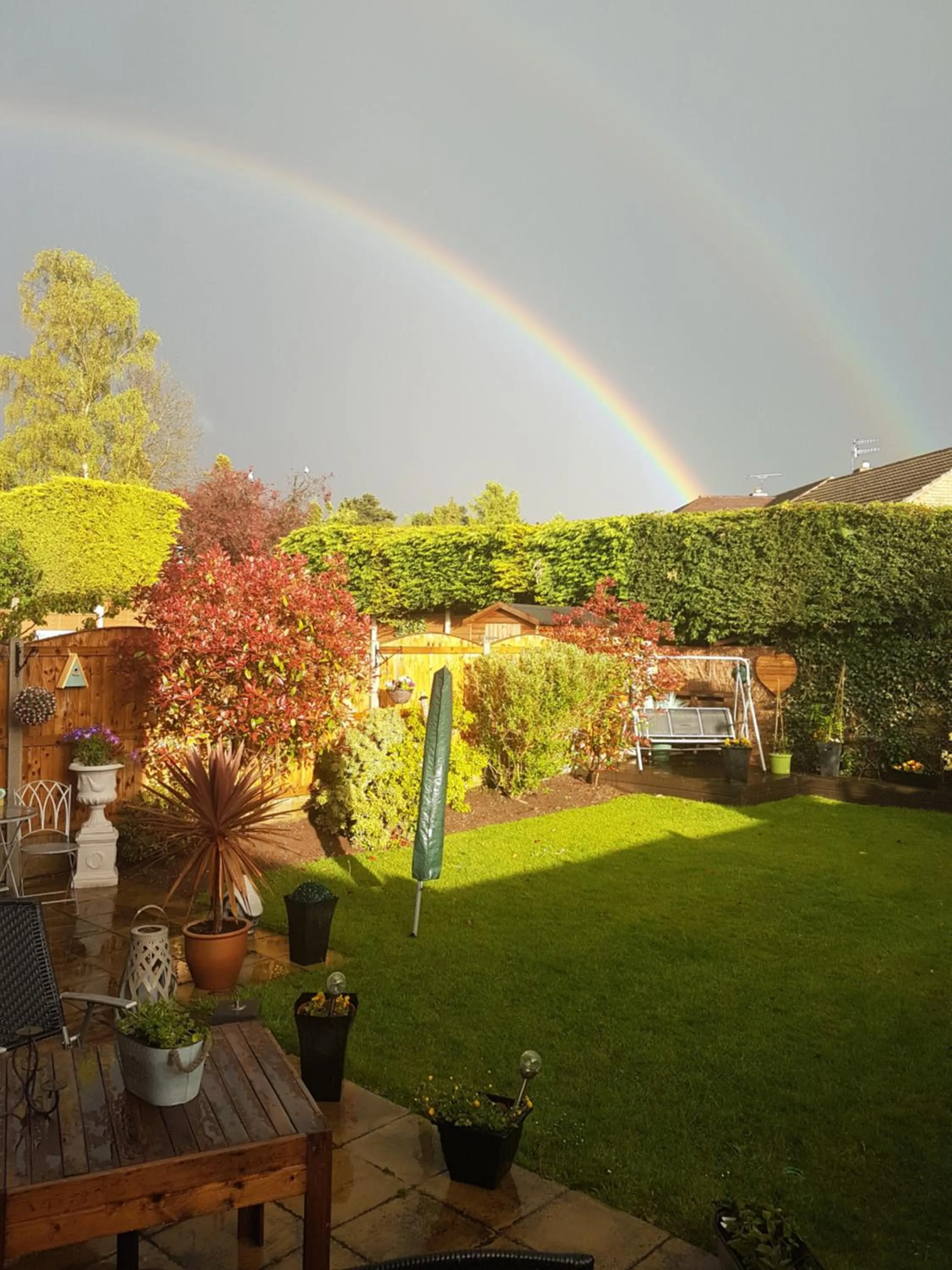 Garden view in Debonair bnb @33