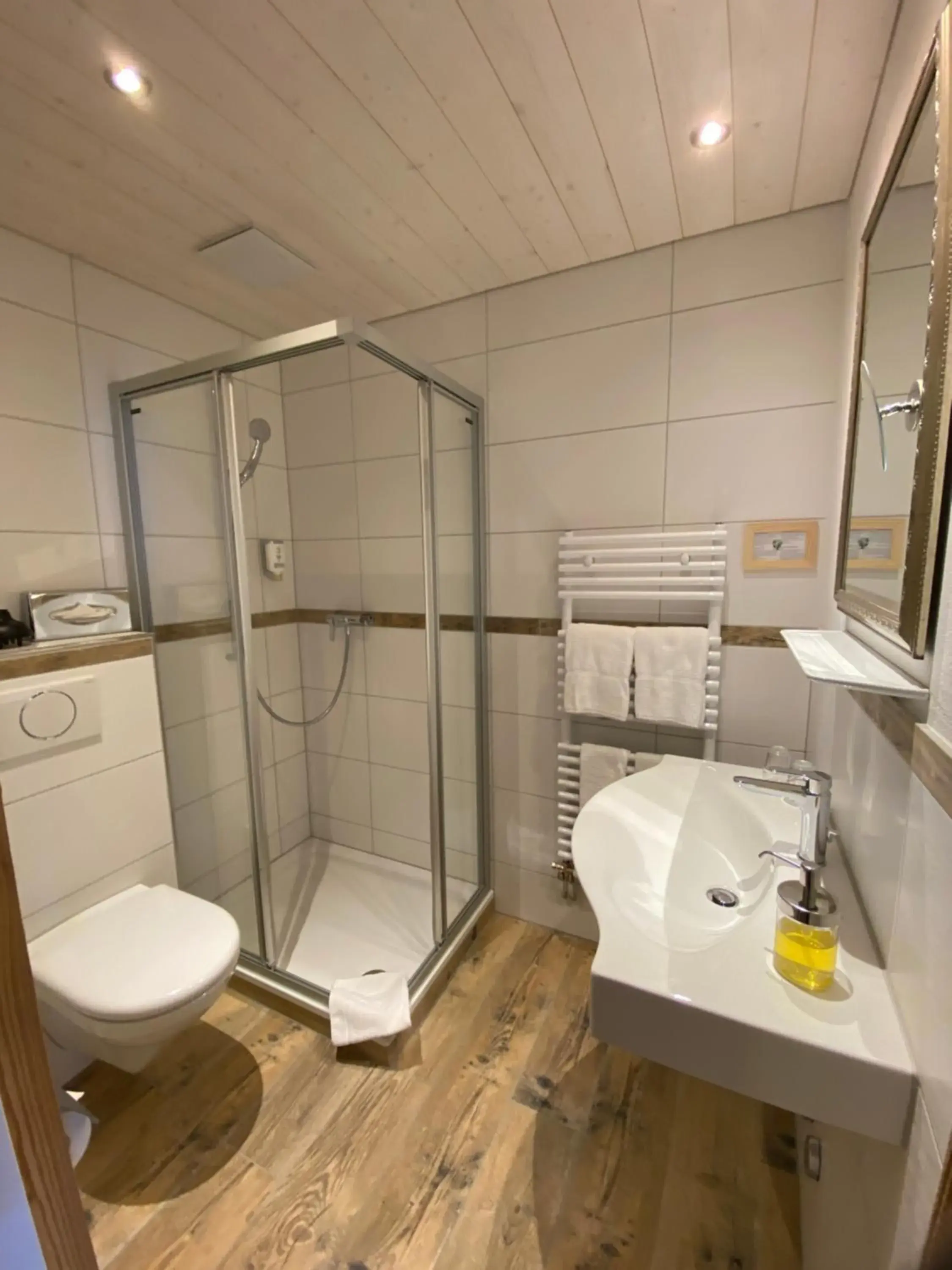 Bathroom in Carlton-Europe Vintage Adults Hotel