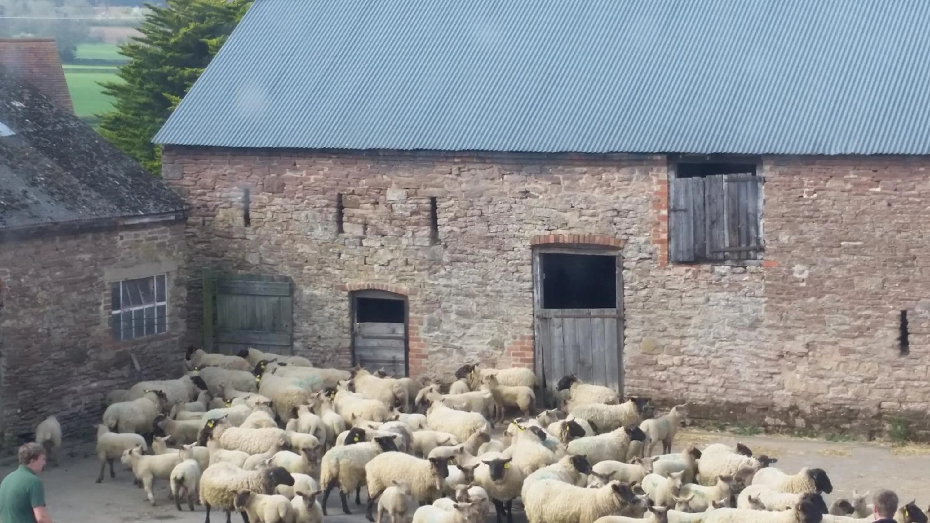 Neighbourhood in Upper Eyton Farmhouse B&B