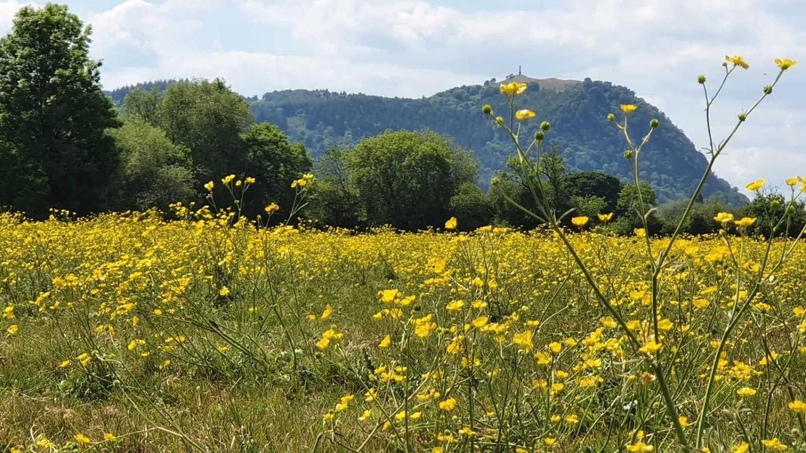 Landmark view in Upper Eyton Farmhouse B&B