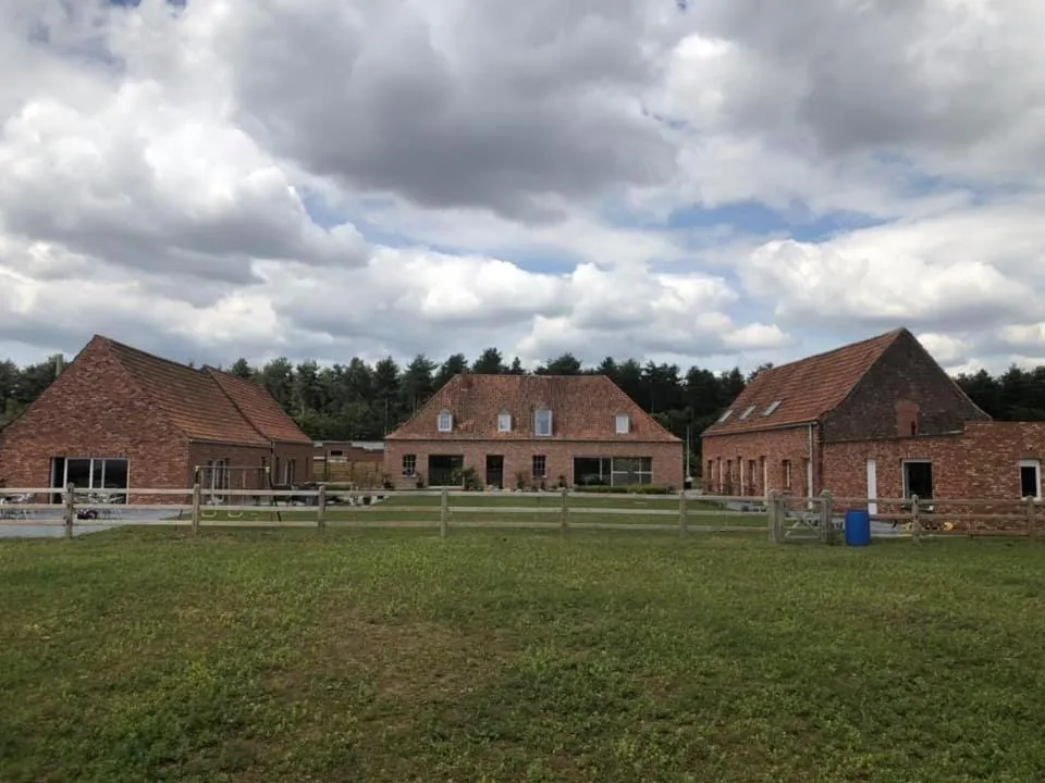 Property building in B&B DeSo