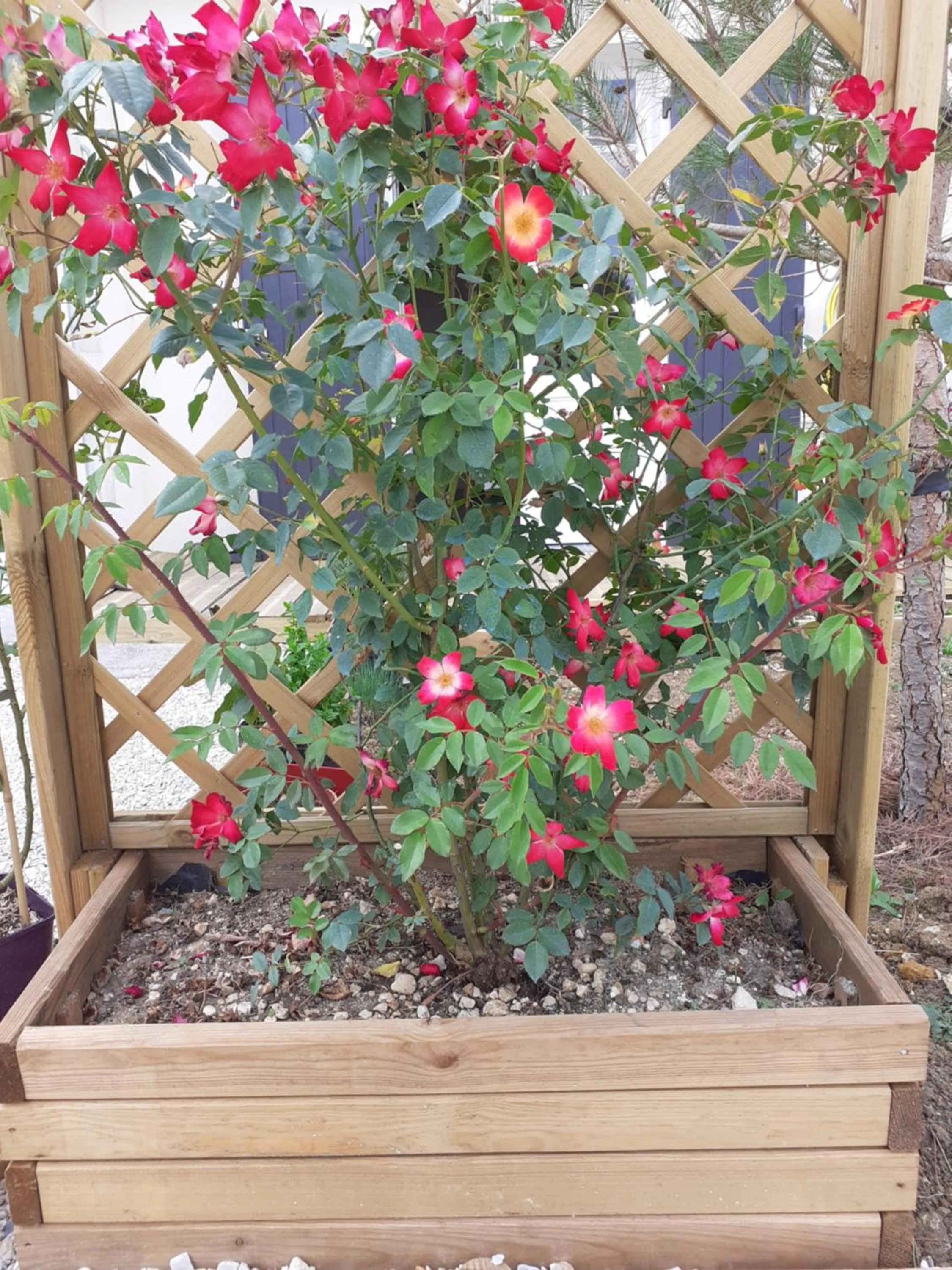 Garden in Le Clos des Passiflores