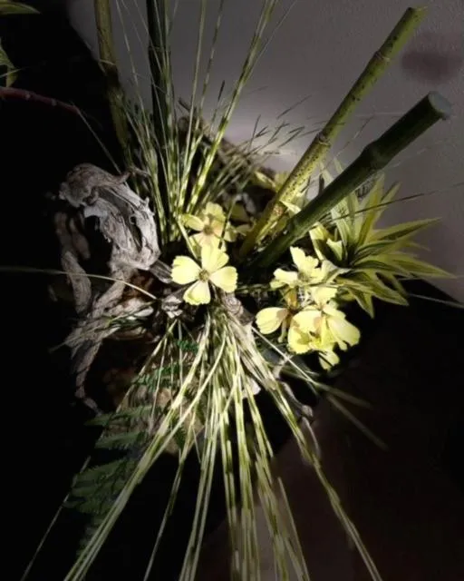 Lobby or reception in Aparthotel El Serch