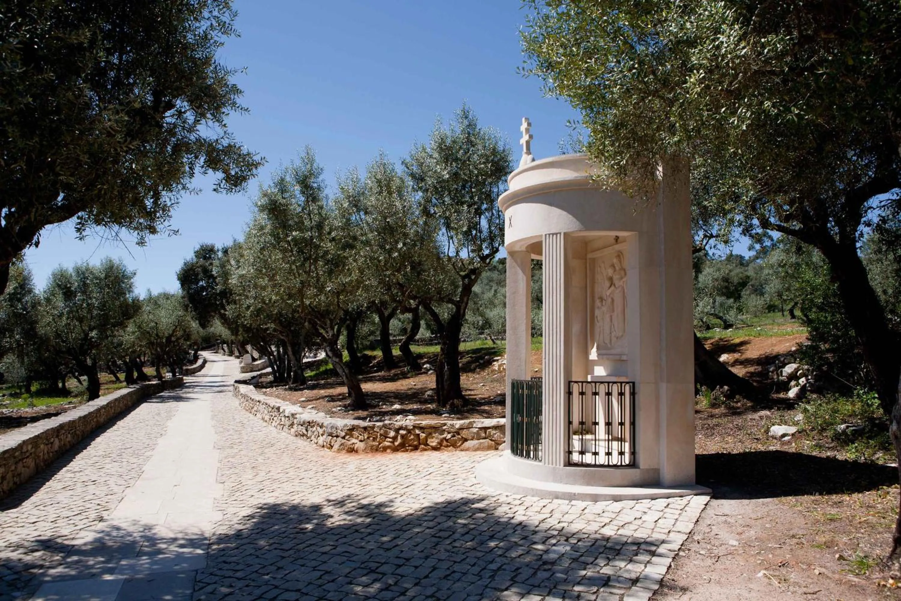 Activities in Ribeiro Hotel