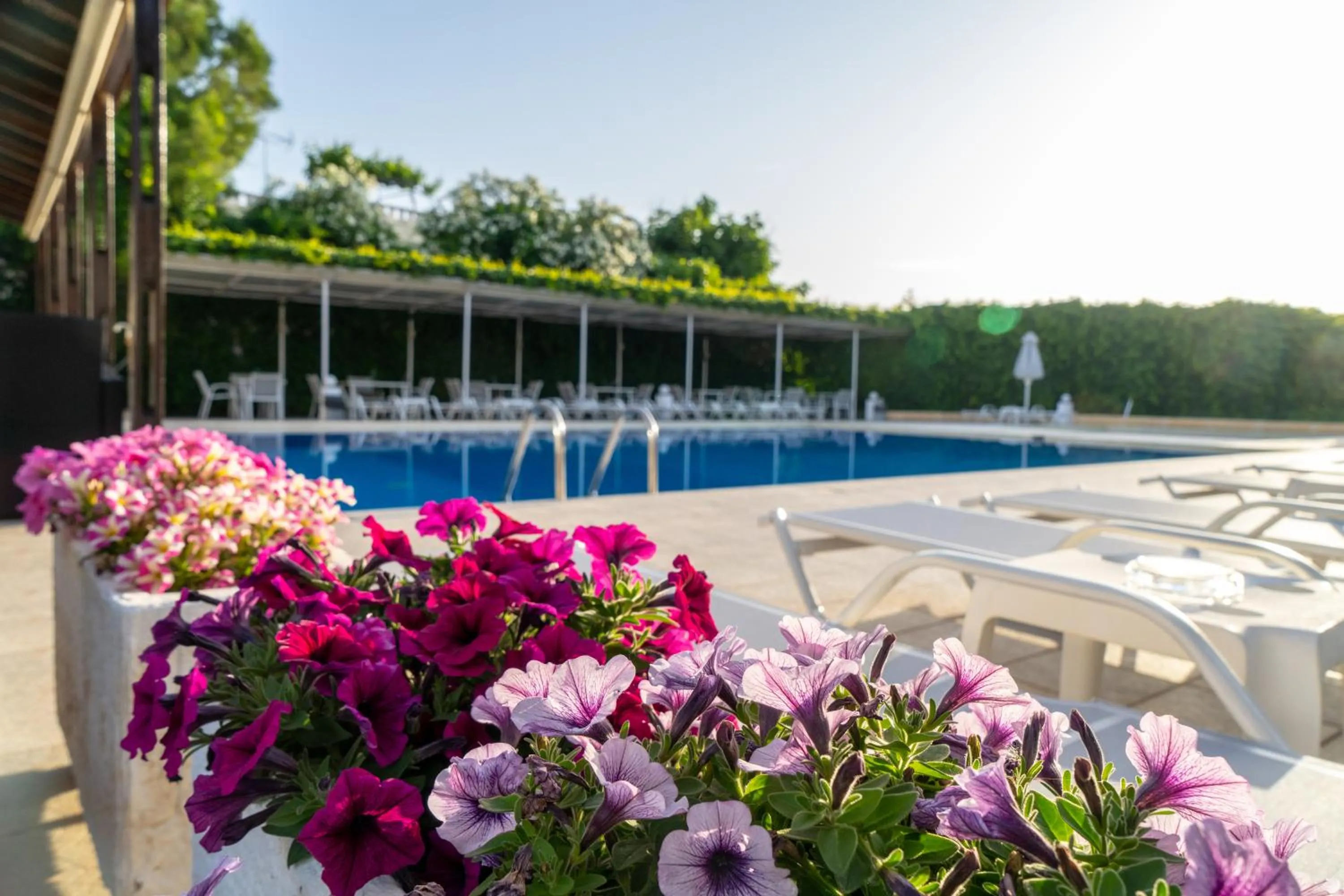 Abella Hotel