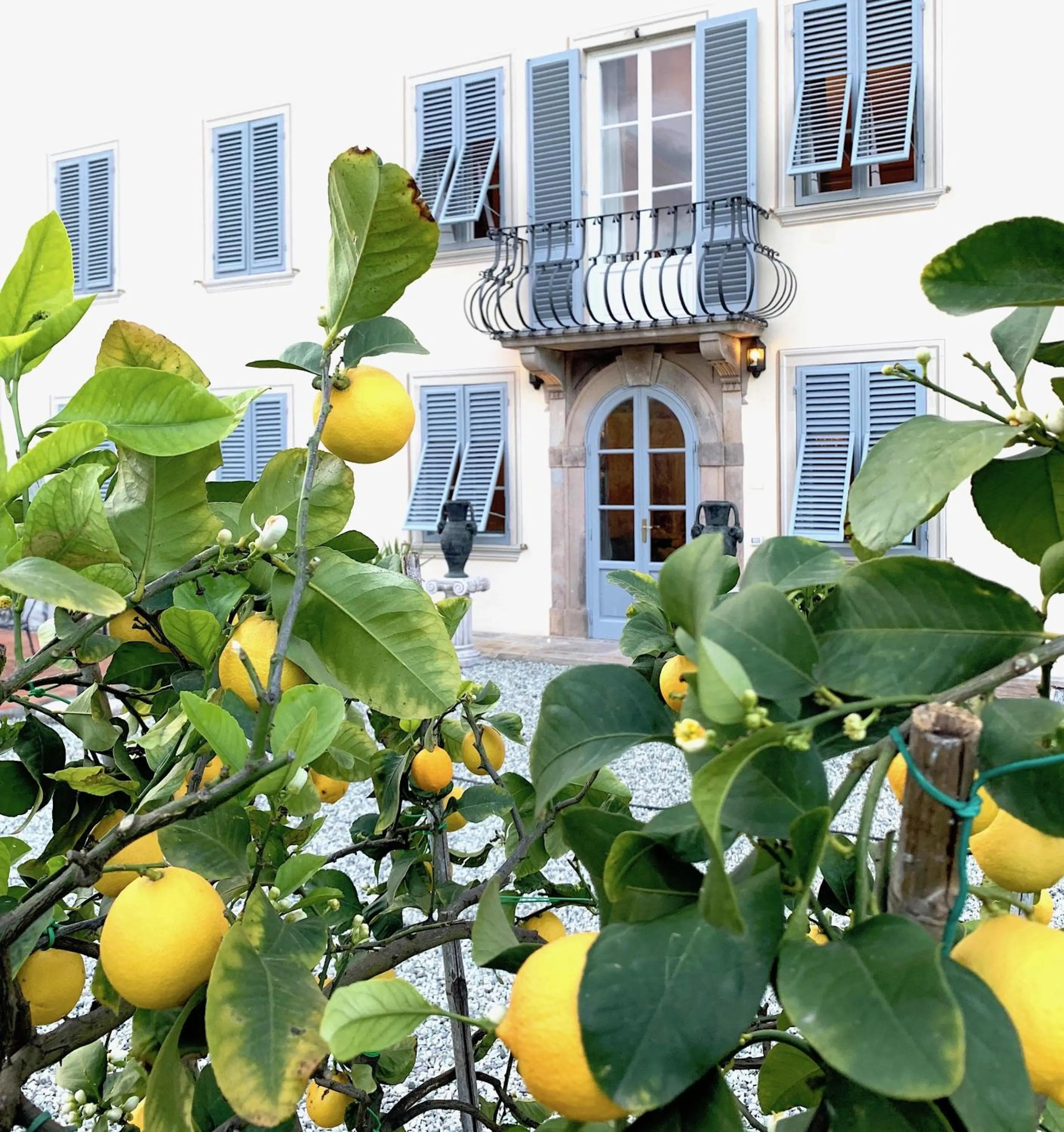Garden view in Villa La Preziosa