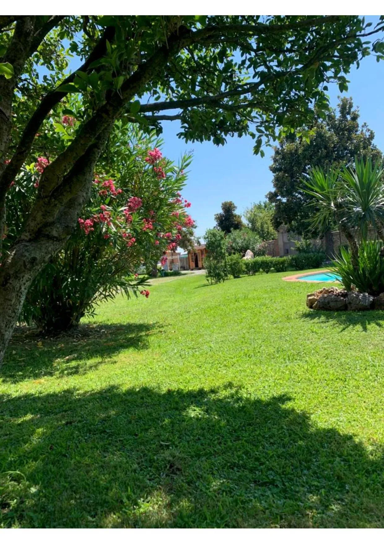 Garden view in Villa La Preziosa