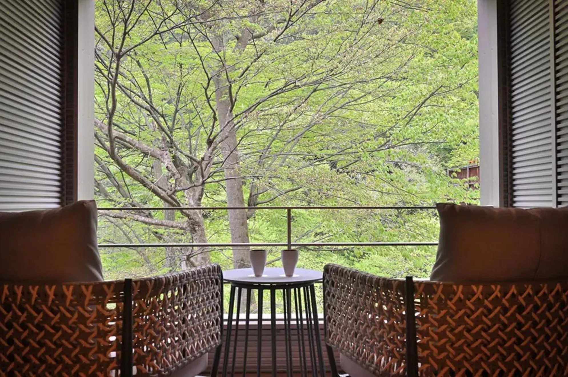 Mountain view in Shima Onsen Yoshimoto