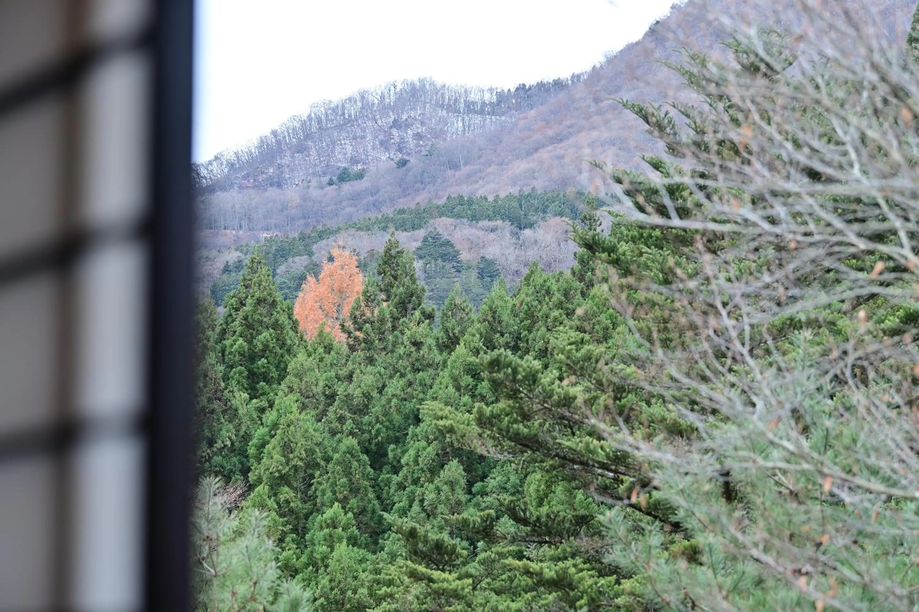 View (from property/room) in Shima Onsen Yoshimoto