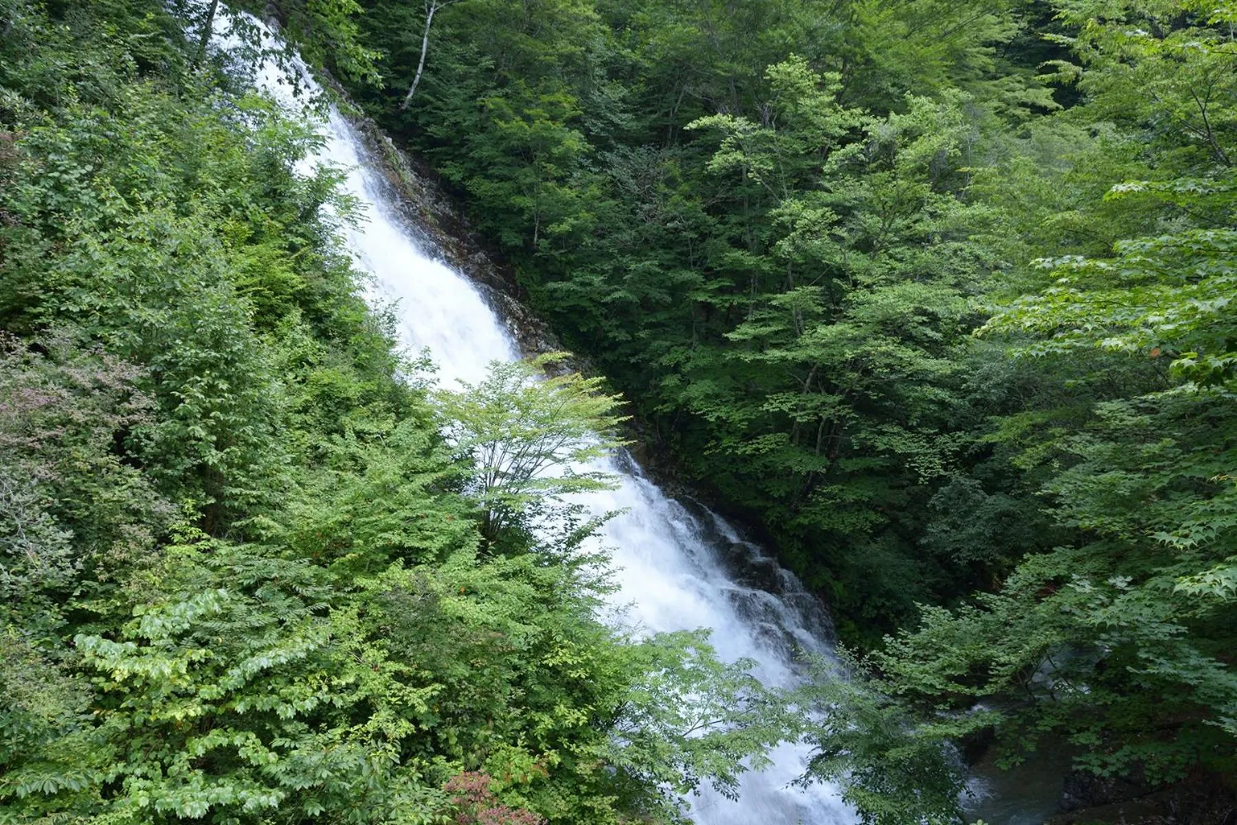 Off site in Shima Onsen Yoshimoto