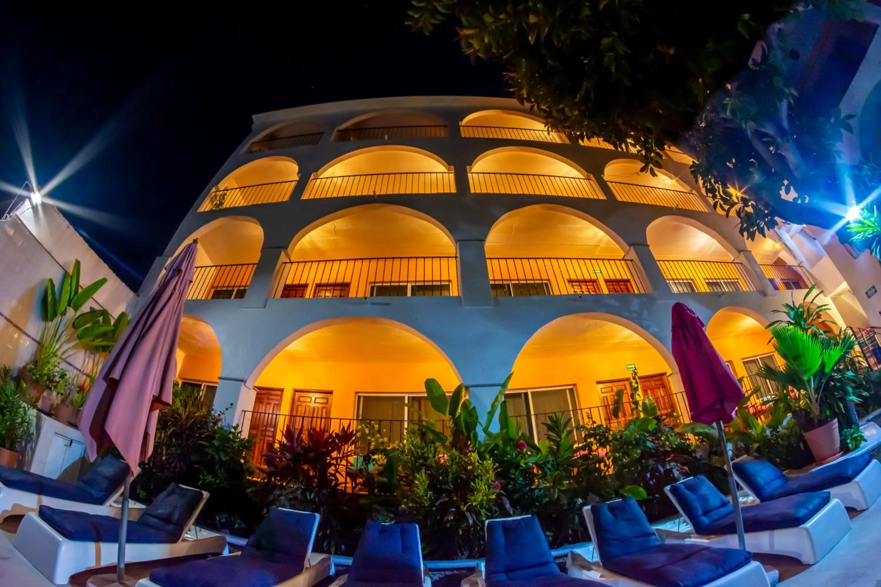 Area and facilities in Hotel Delfin