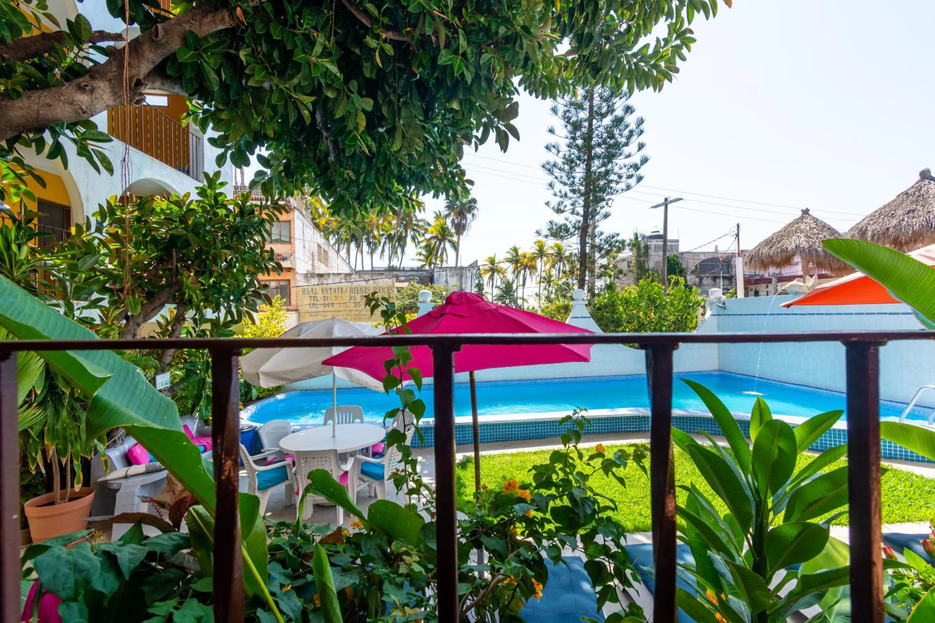 Swimming pool in Hotel Delfin