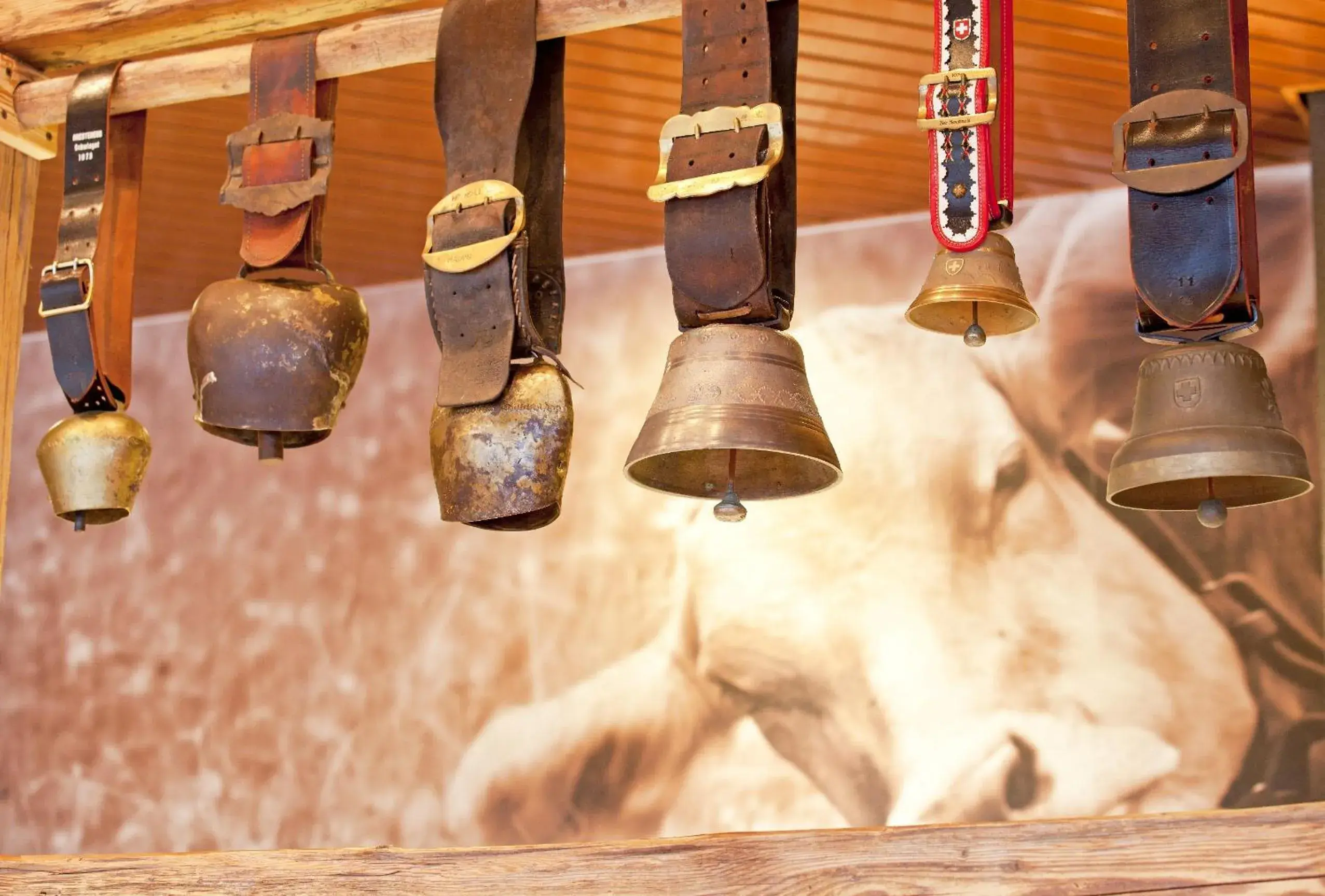 Restaurant/places to eat in Hotel Steinmattli Restaurant/places to eat in Hotel Steinmattli