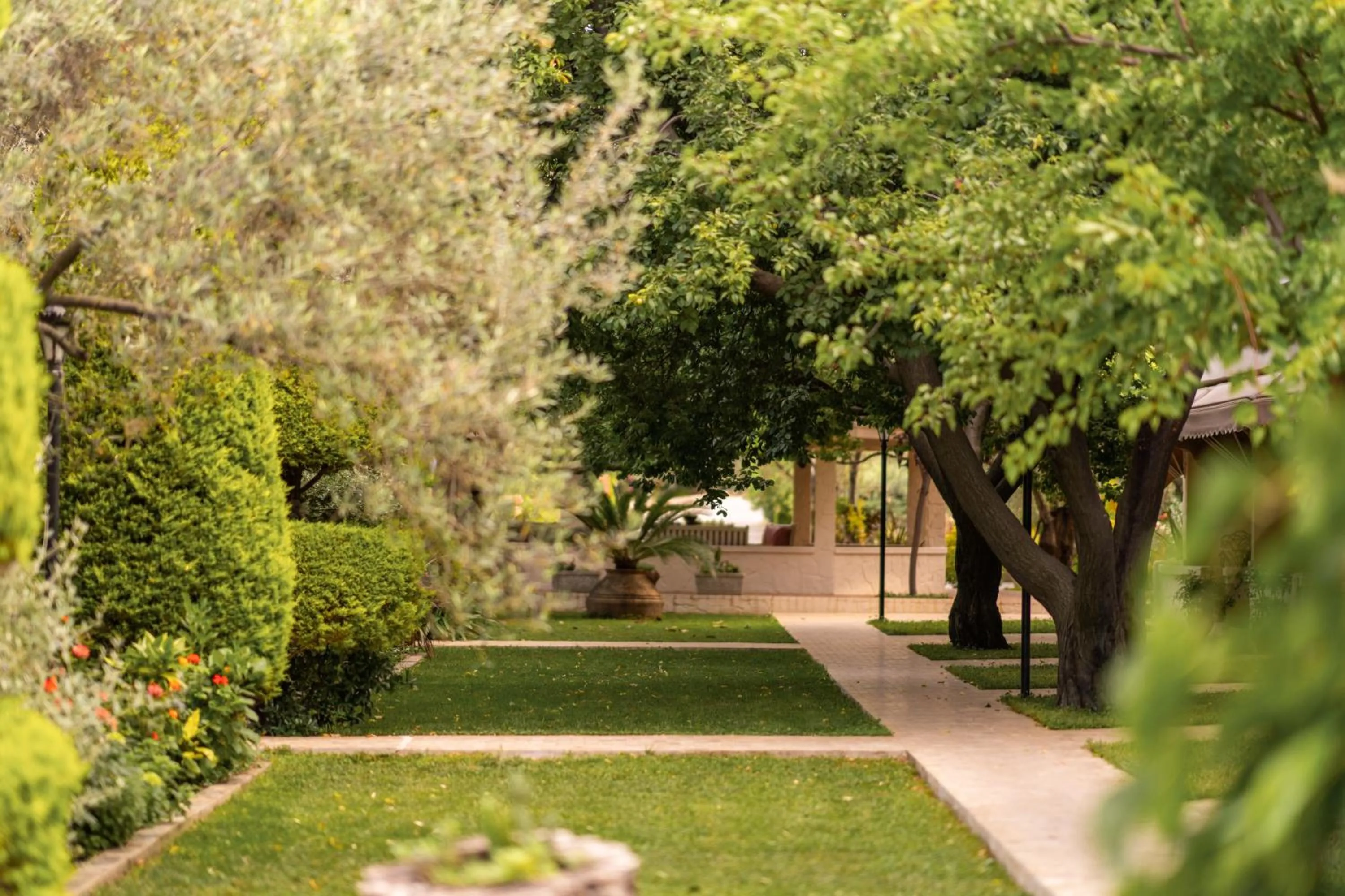 Garden in Gurel Garden House