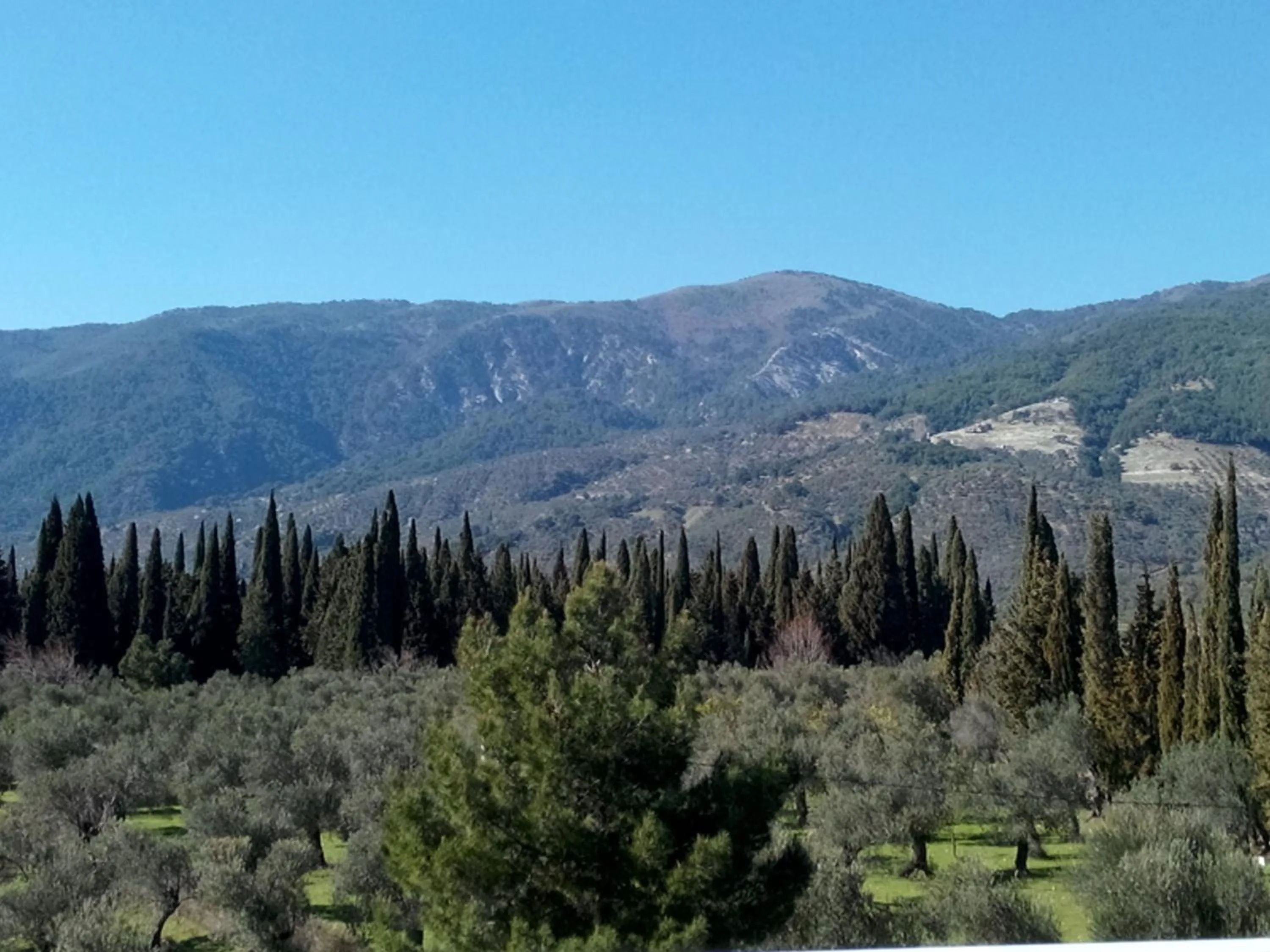 Natural landscape in Kazdaglari Ida Natura Bungalov Hotel