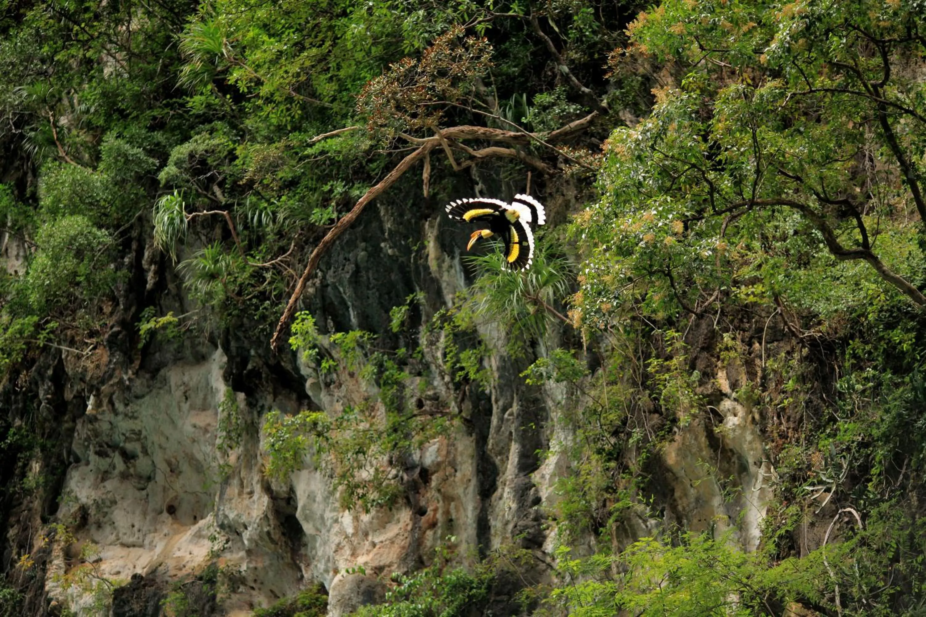 Natural landscape in 500 Rai Floating Resort