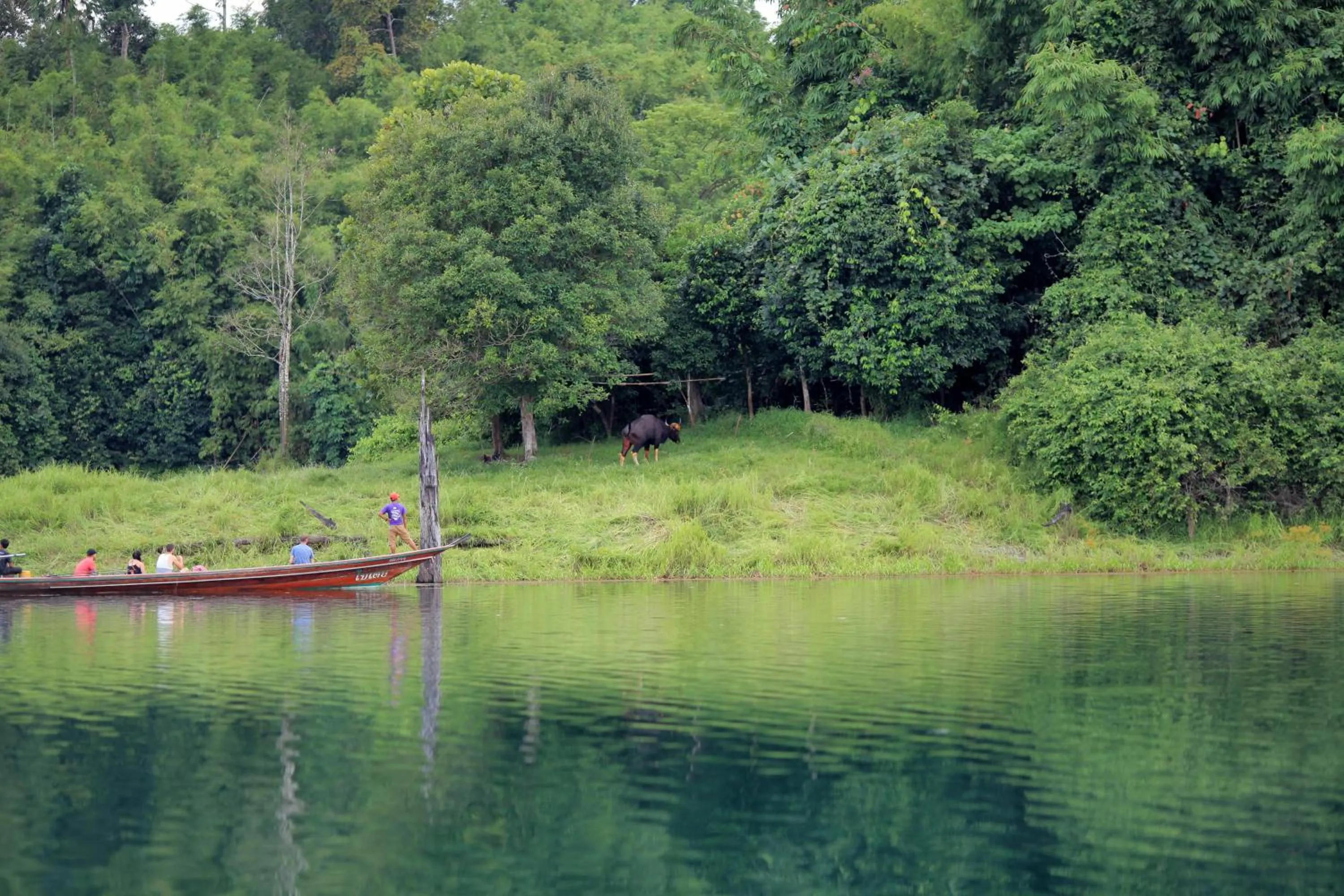 Natural landscape in 500 Rai Floating Resort