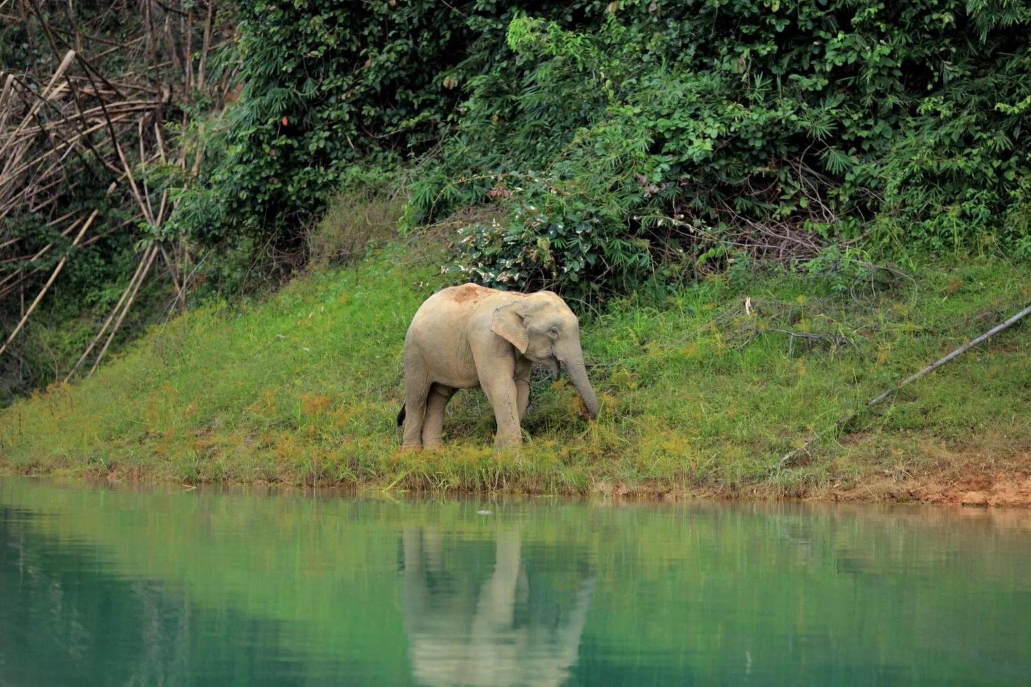 Natural landscape in 500 Rai Floating Resort
