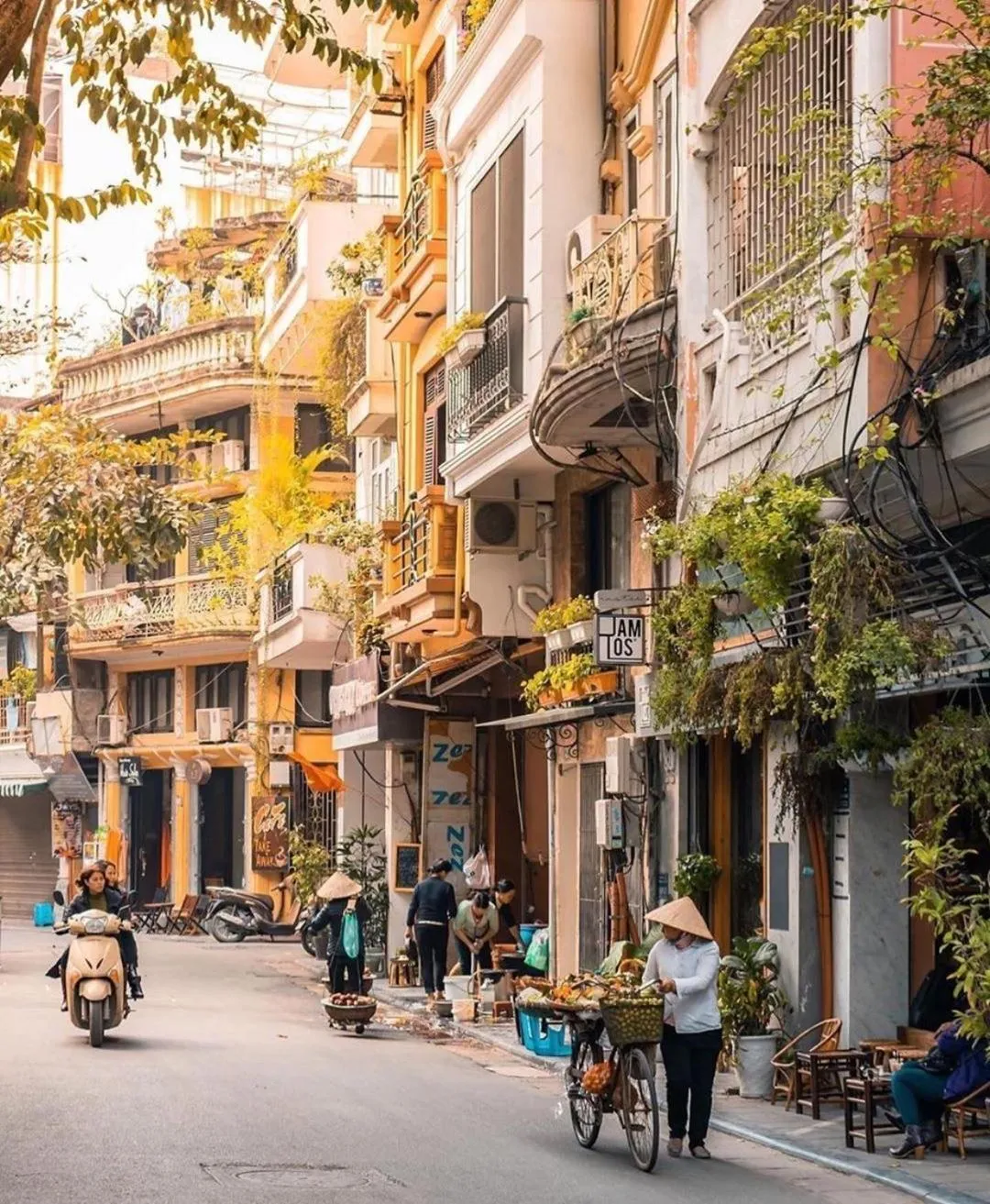 Property building in Hanoi Win Hotel & Travel