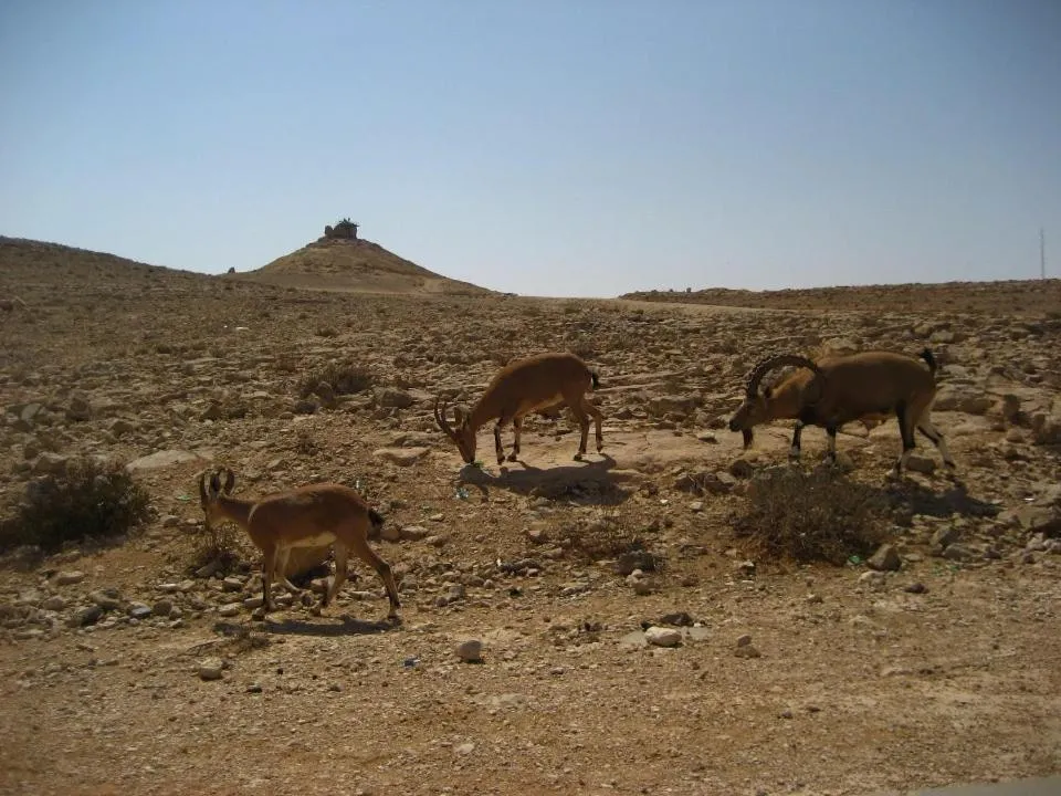 Nearby landmark in Silent Arrow