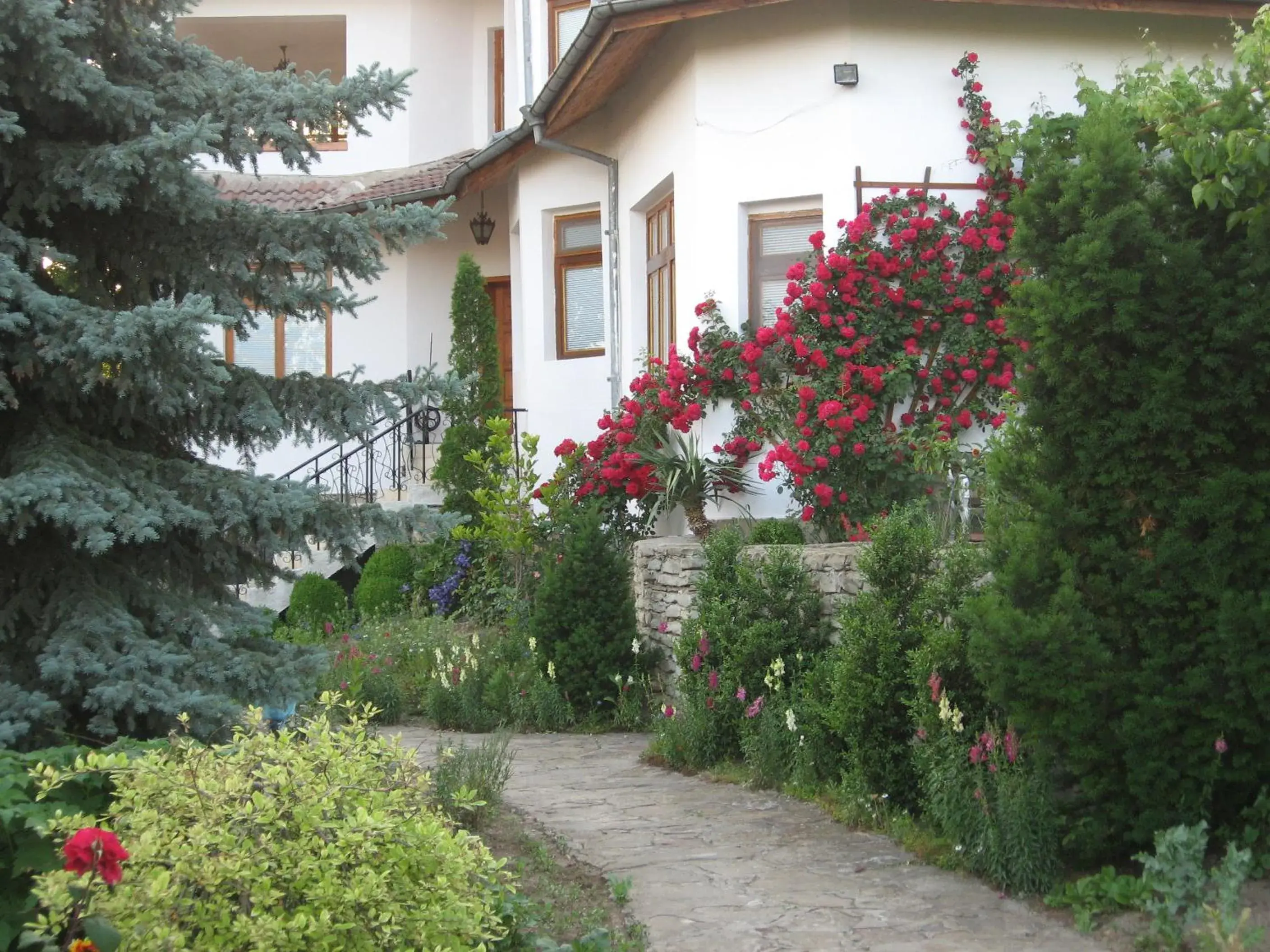 Guest House Astra Guest House Astra